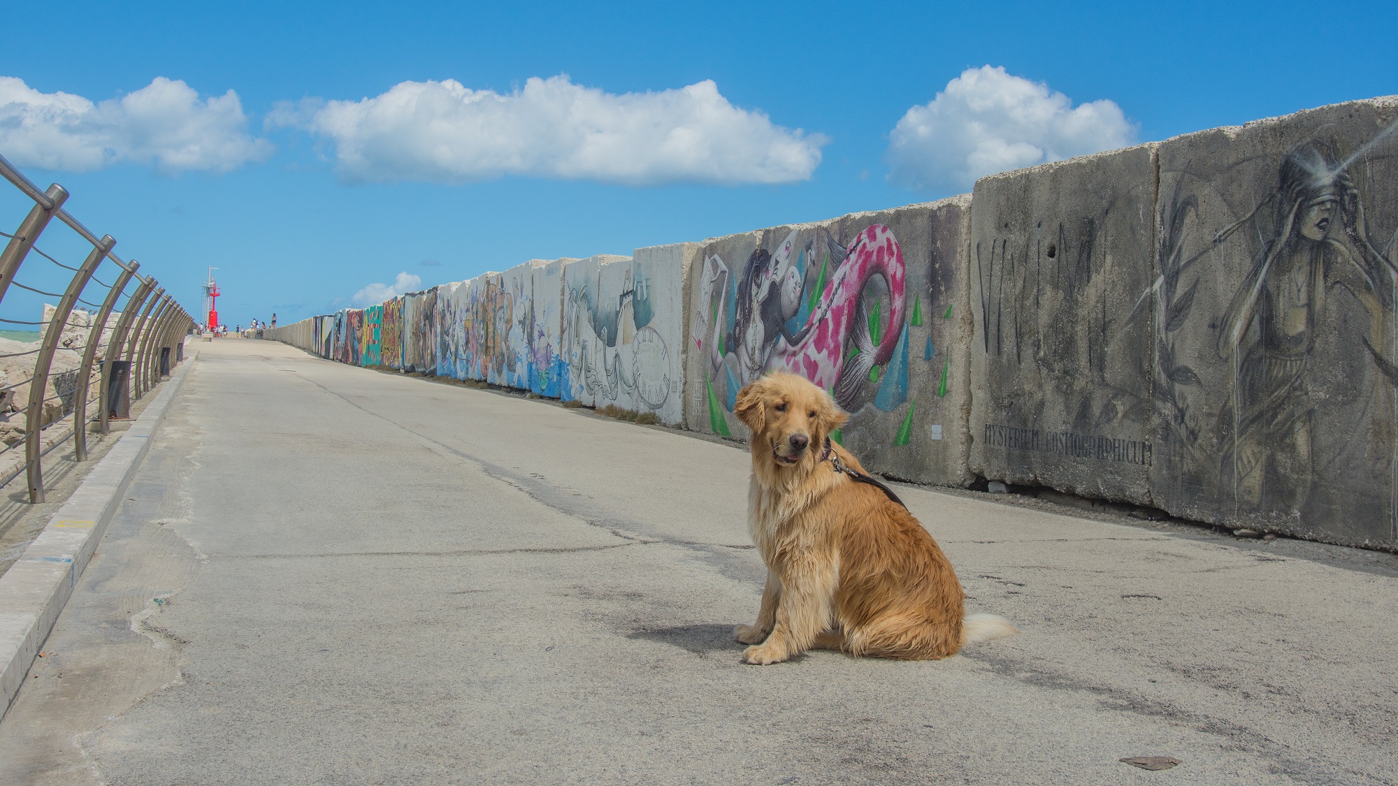 Pier South San Benedetto del Tronto
