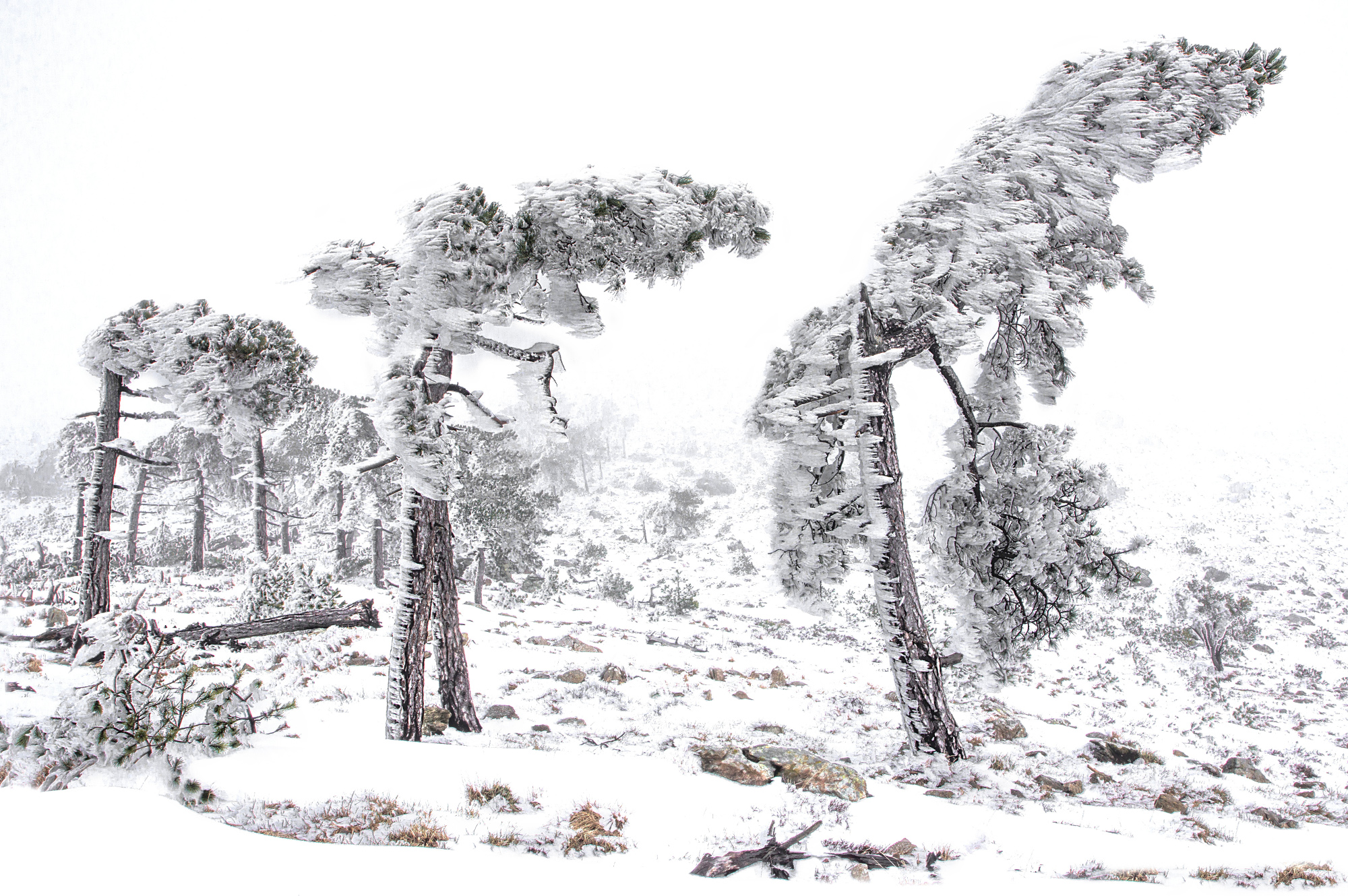 When the storm carves ....