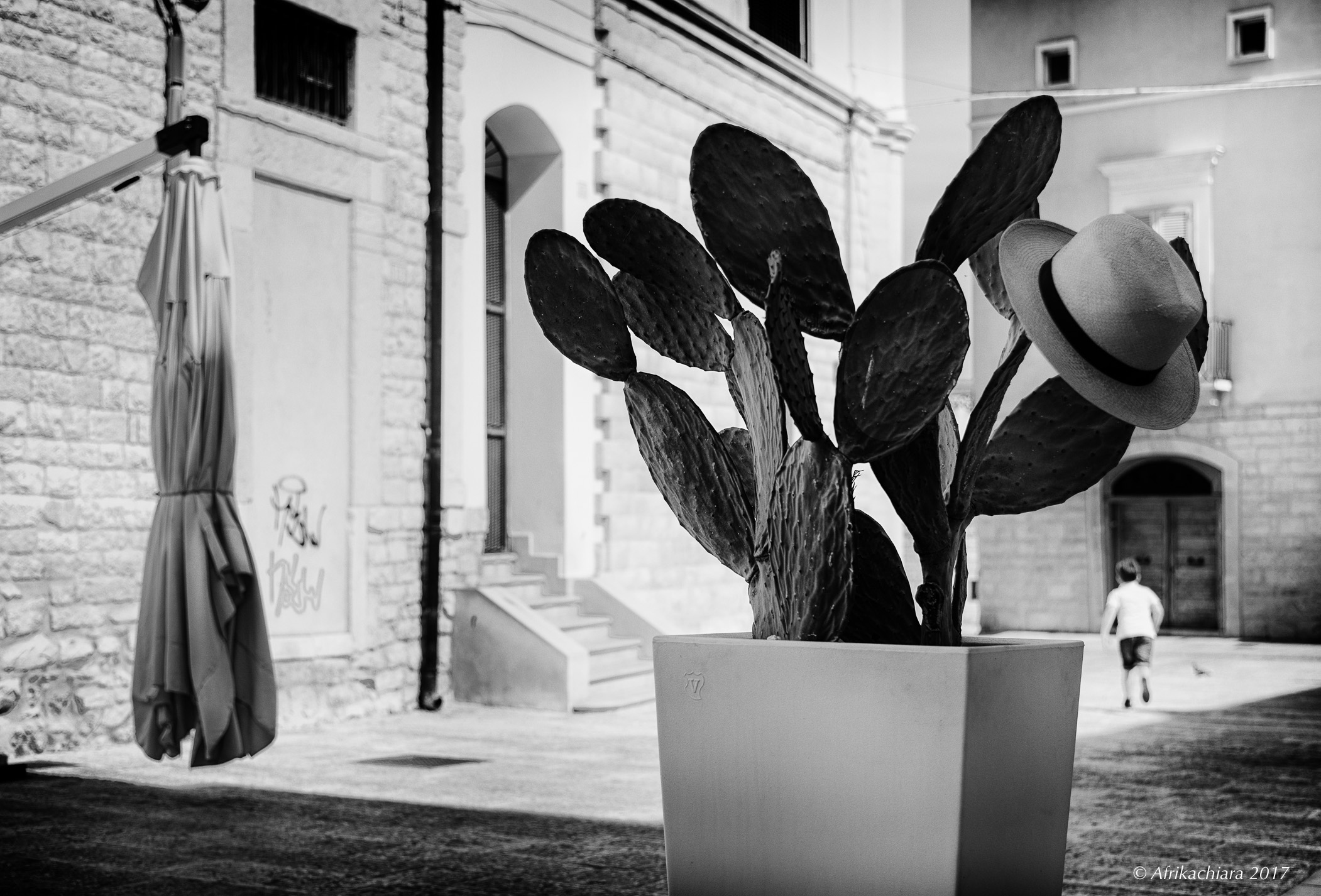 Il cappello di paglia...