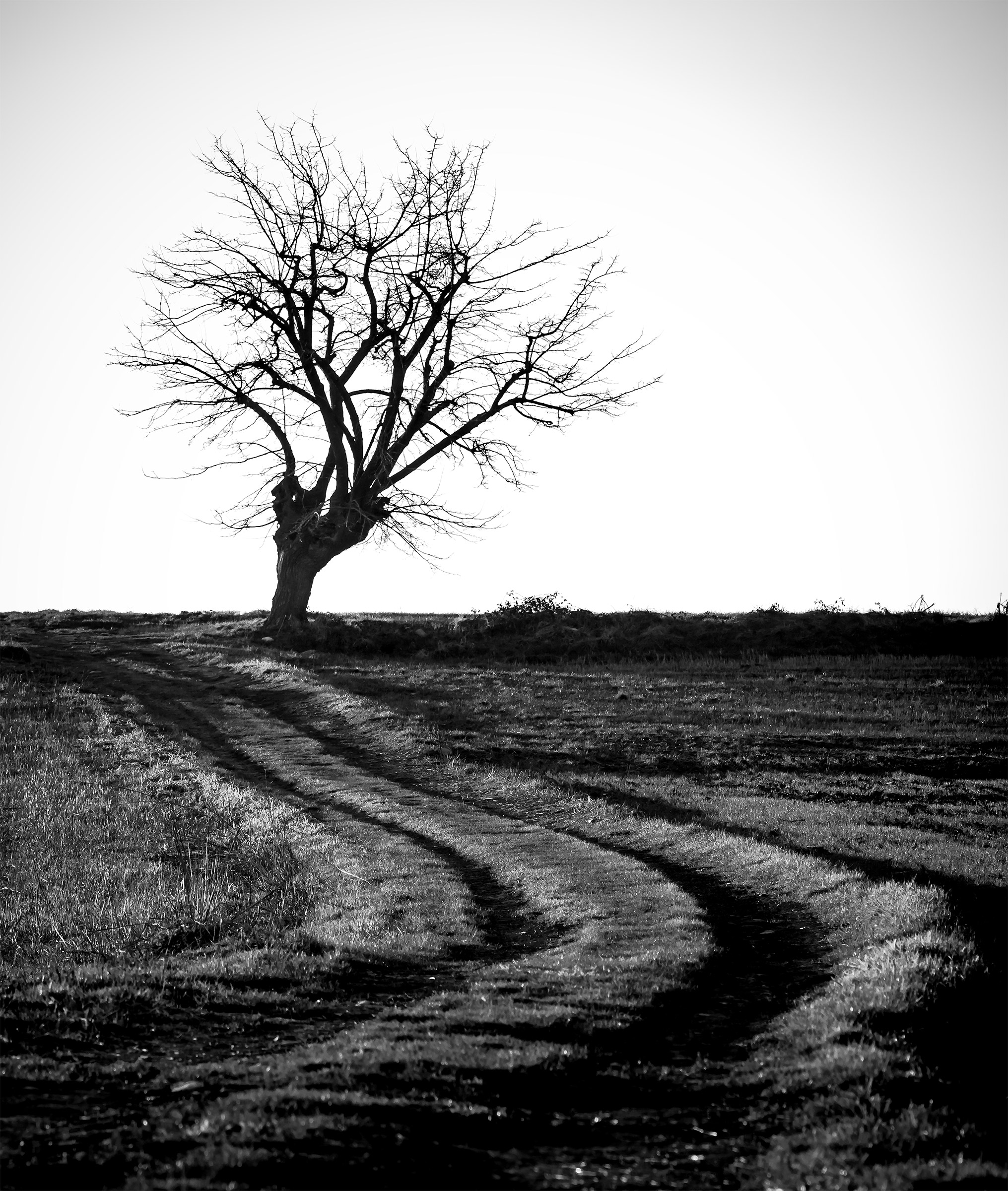 Laurelin, Winter 2017 - BN