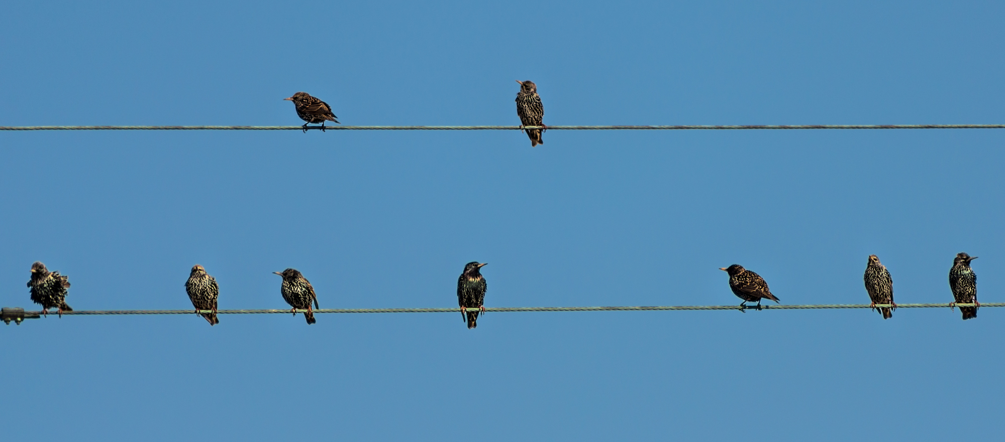 Talk about politics !!!