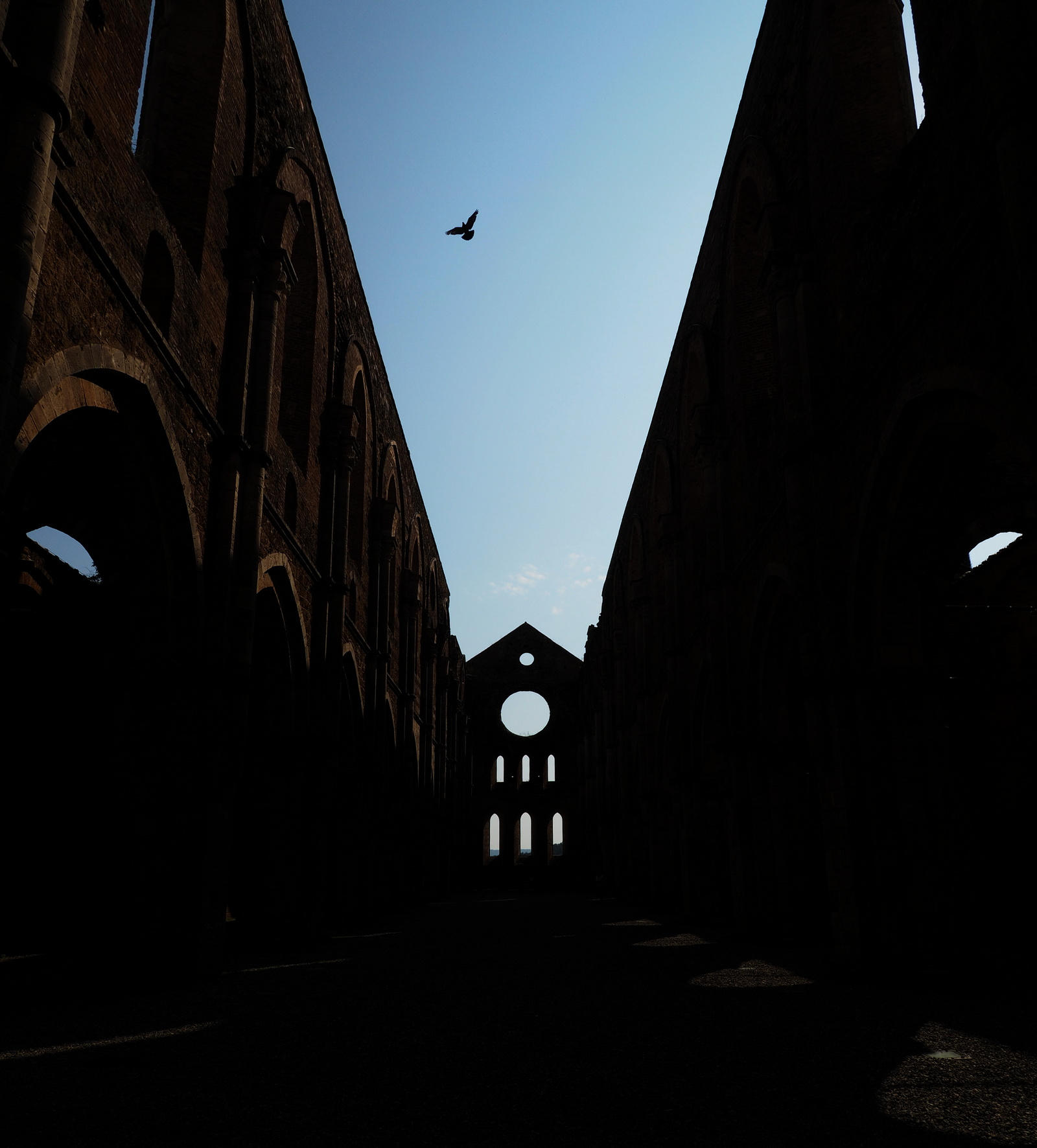 The flight of the Holy Spirit