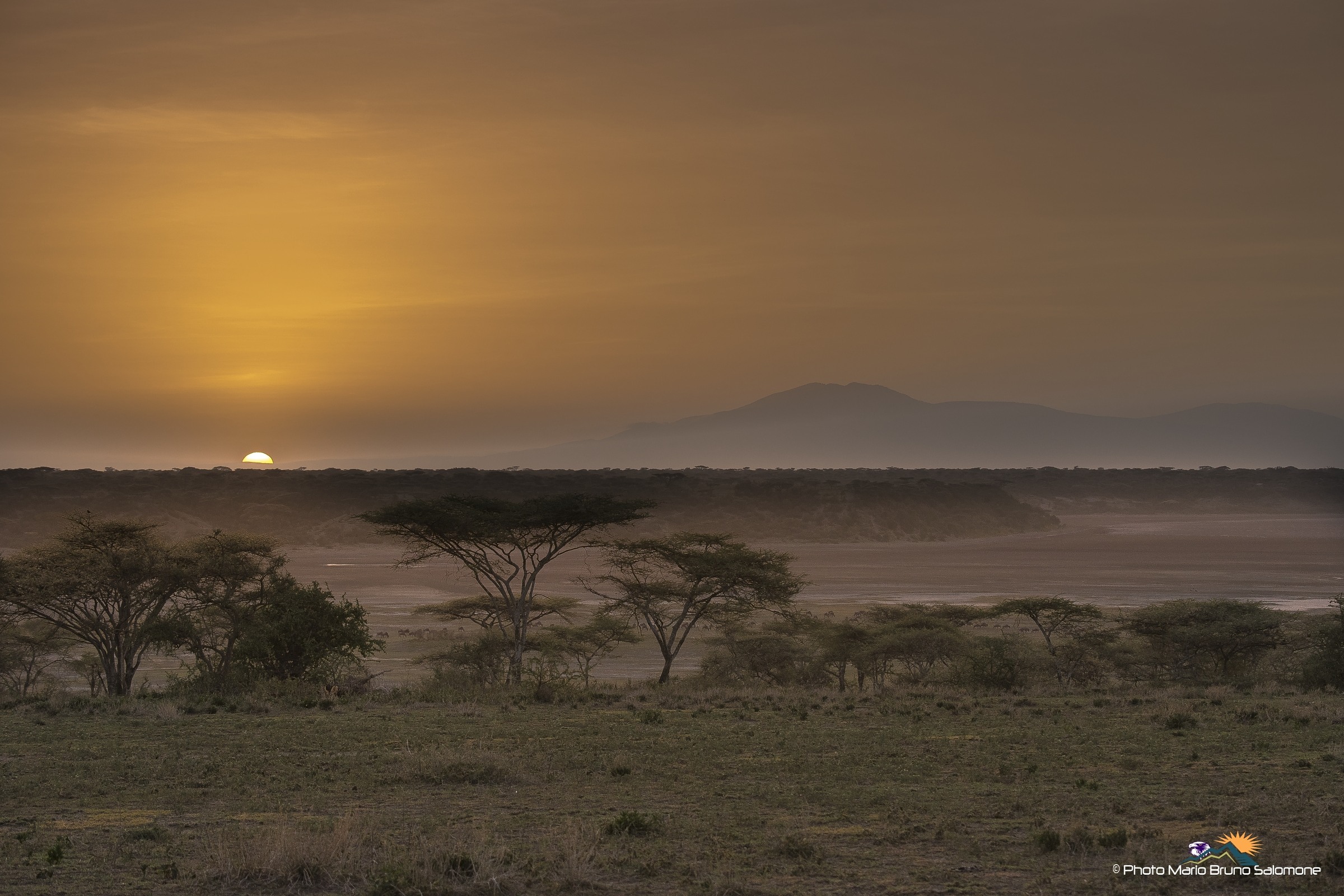 Tanzanian atmospheres.