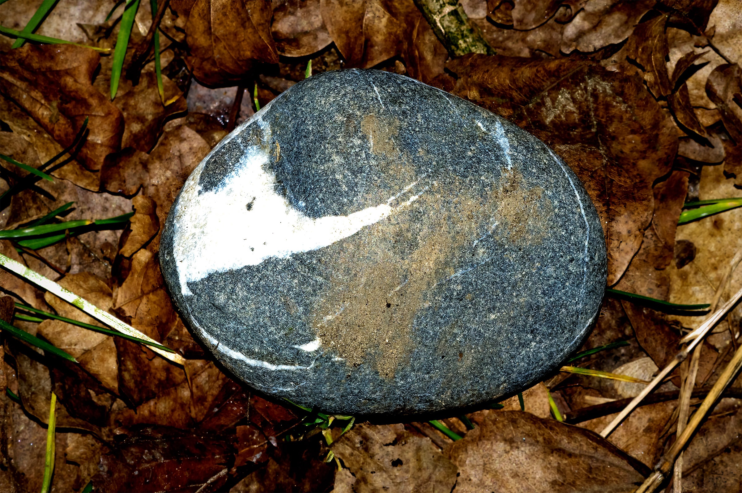 River stone in the forest Molgora