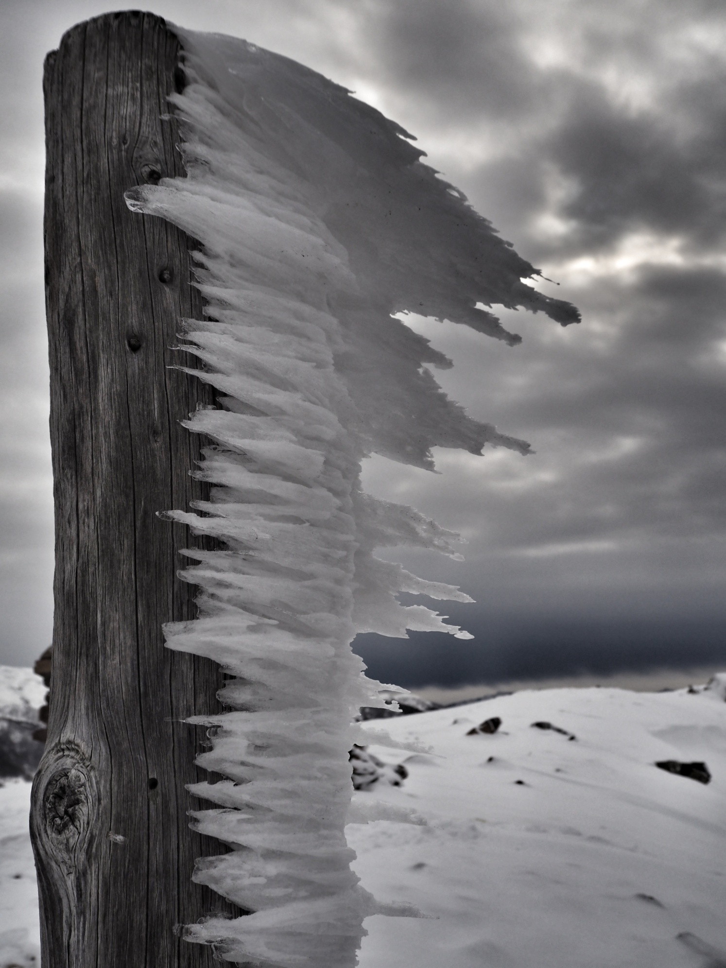 Forme del vento - Dosso di Costalta
