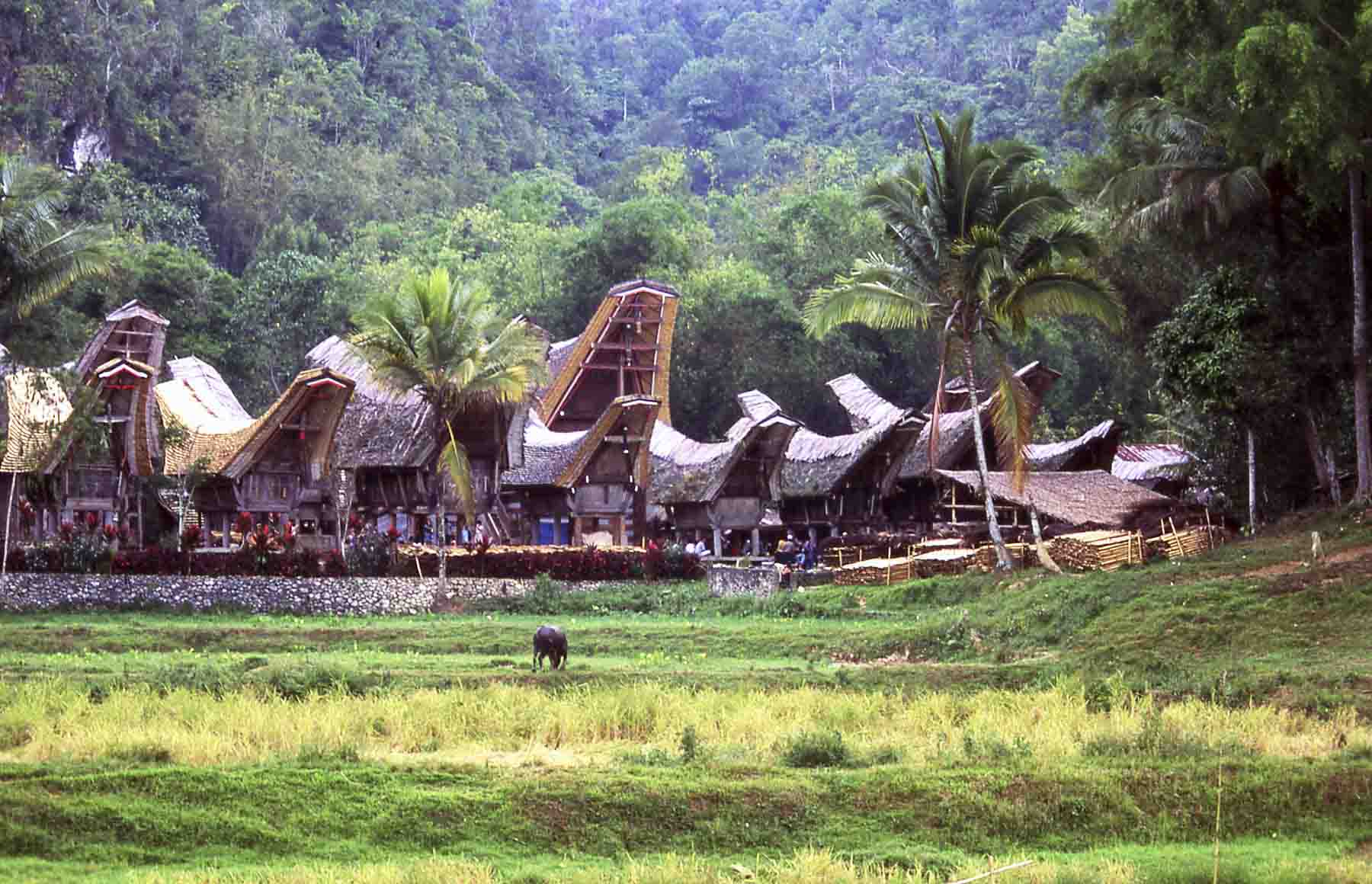 Villaggio case granaio a Sulawesi - Indonesia