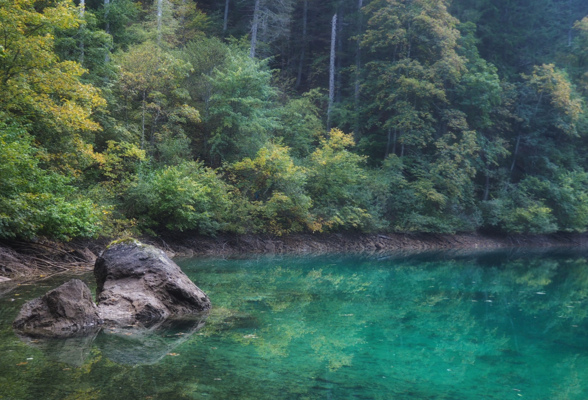 Fifty shades of green - Lake Tovel