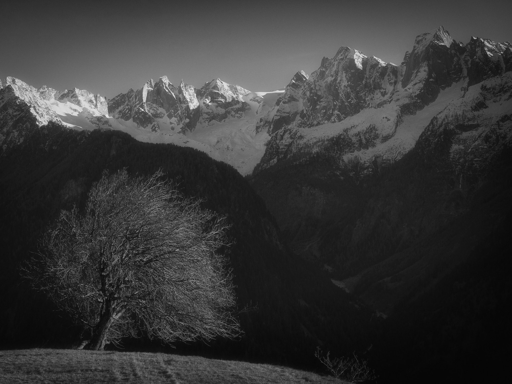B&n in Bregaglia