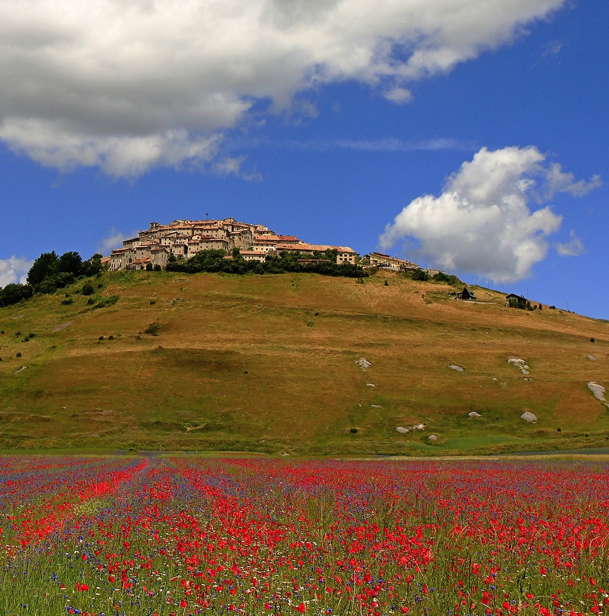 Ricordo e speranza.....