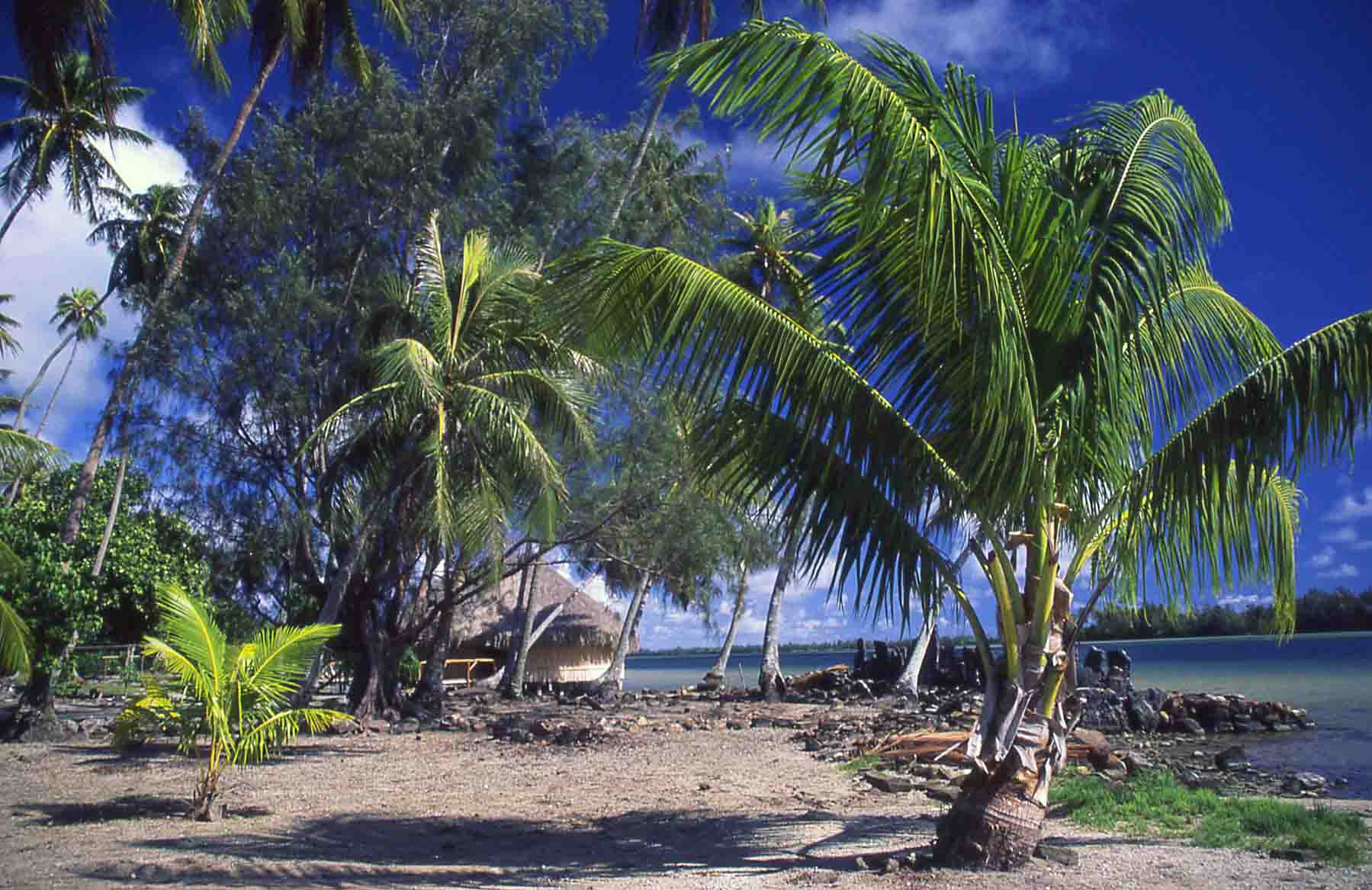 Beach in Tahiti