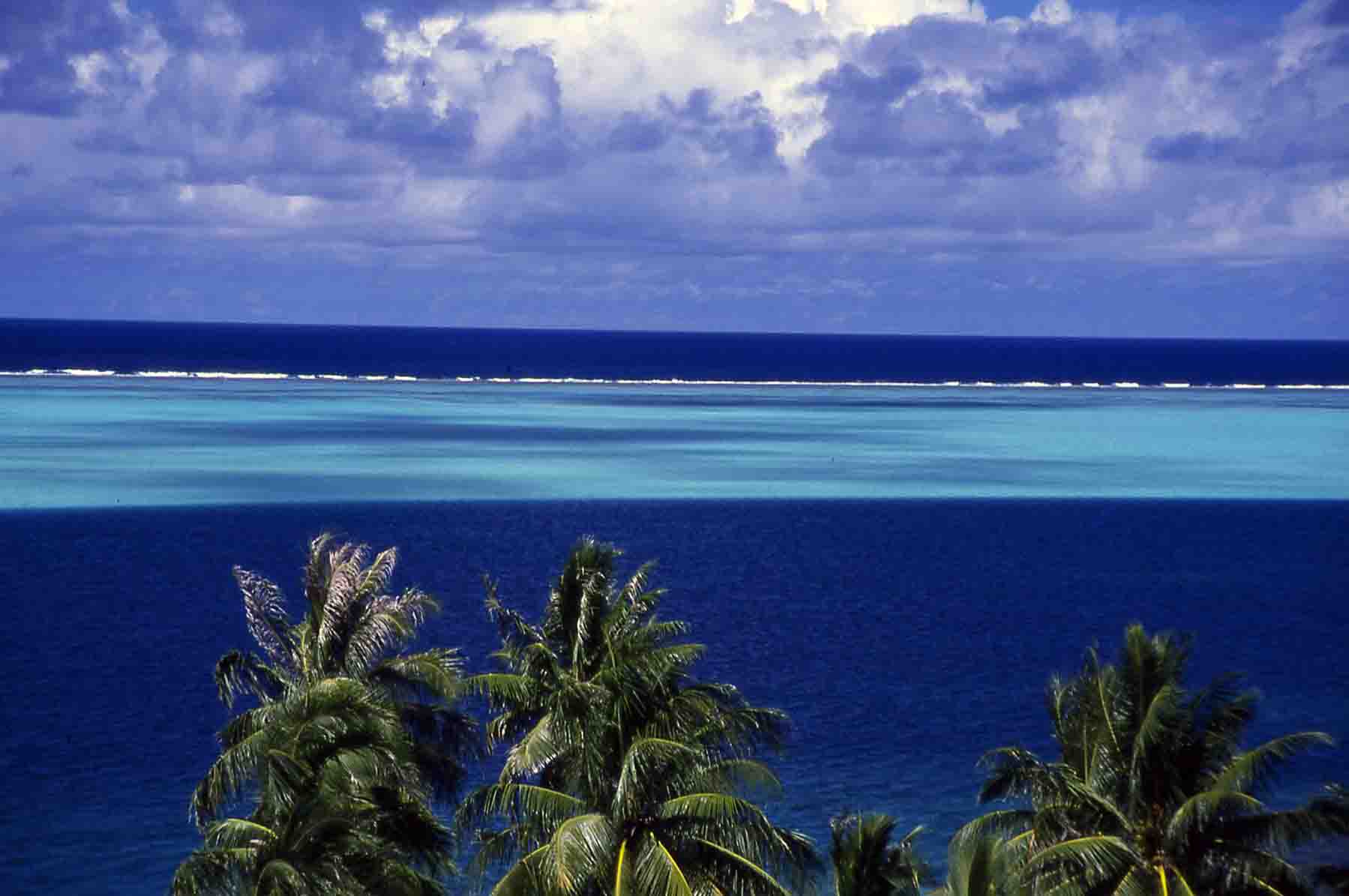 -Tahiti Reef
