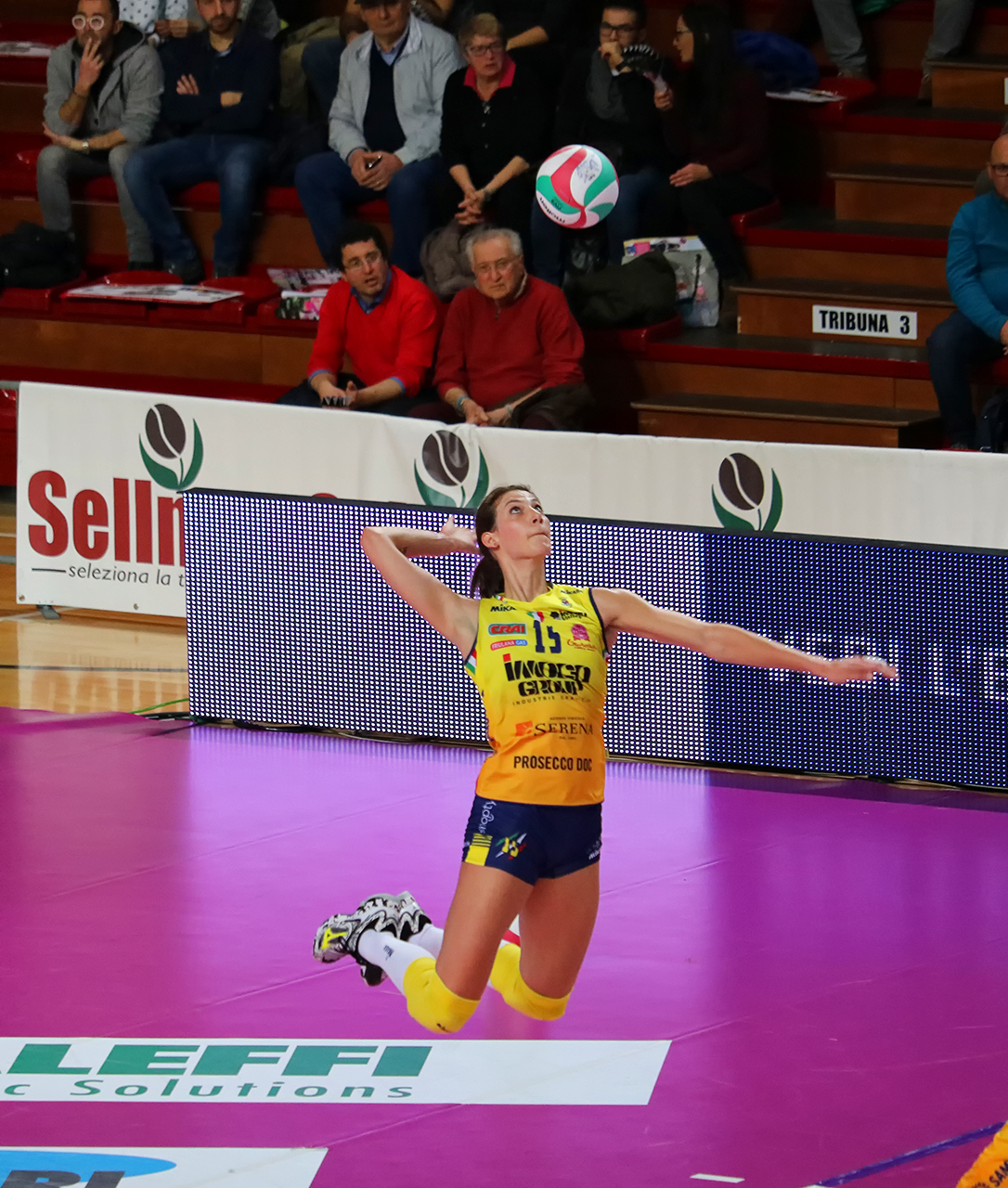 Igor Novara-Imoco Conegliano: Robin de Kruijf