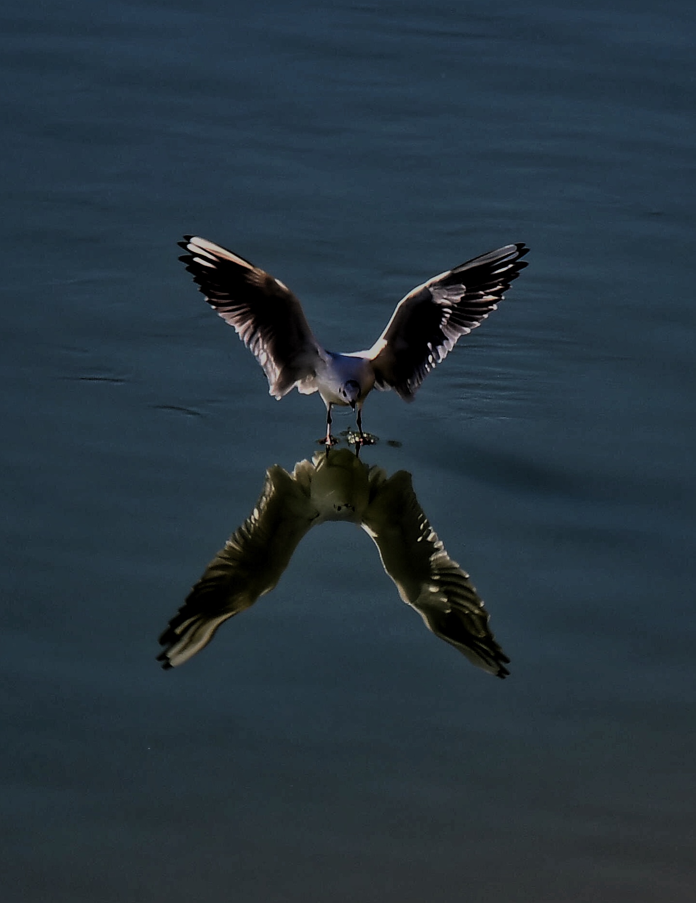 I like to look in the mirror