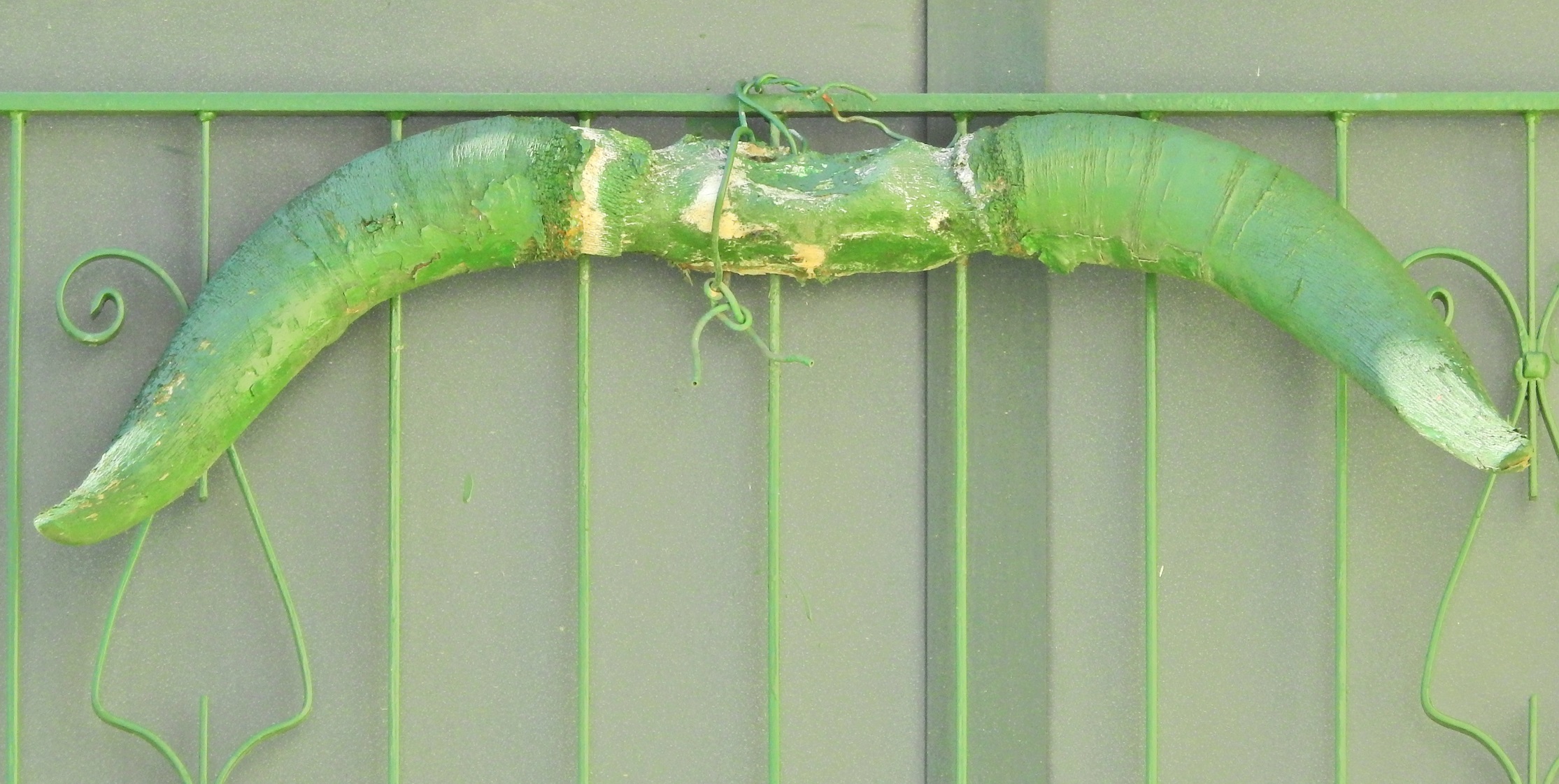 Corna basse e anche verdi...