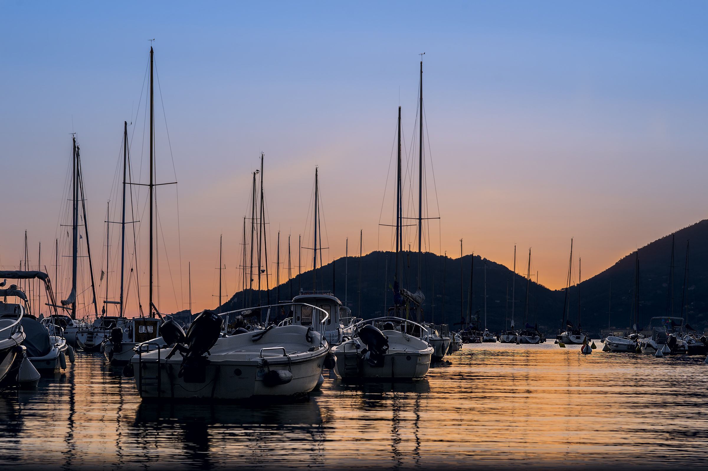 Harbour lerici