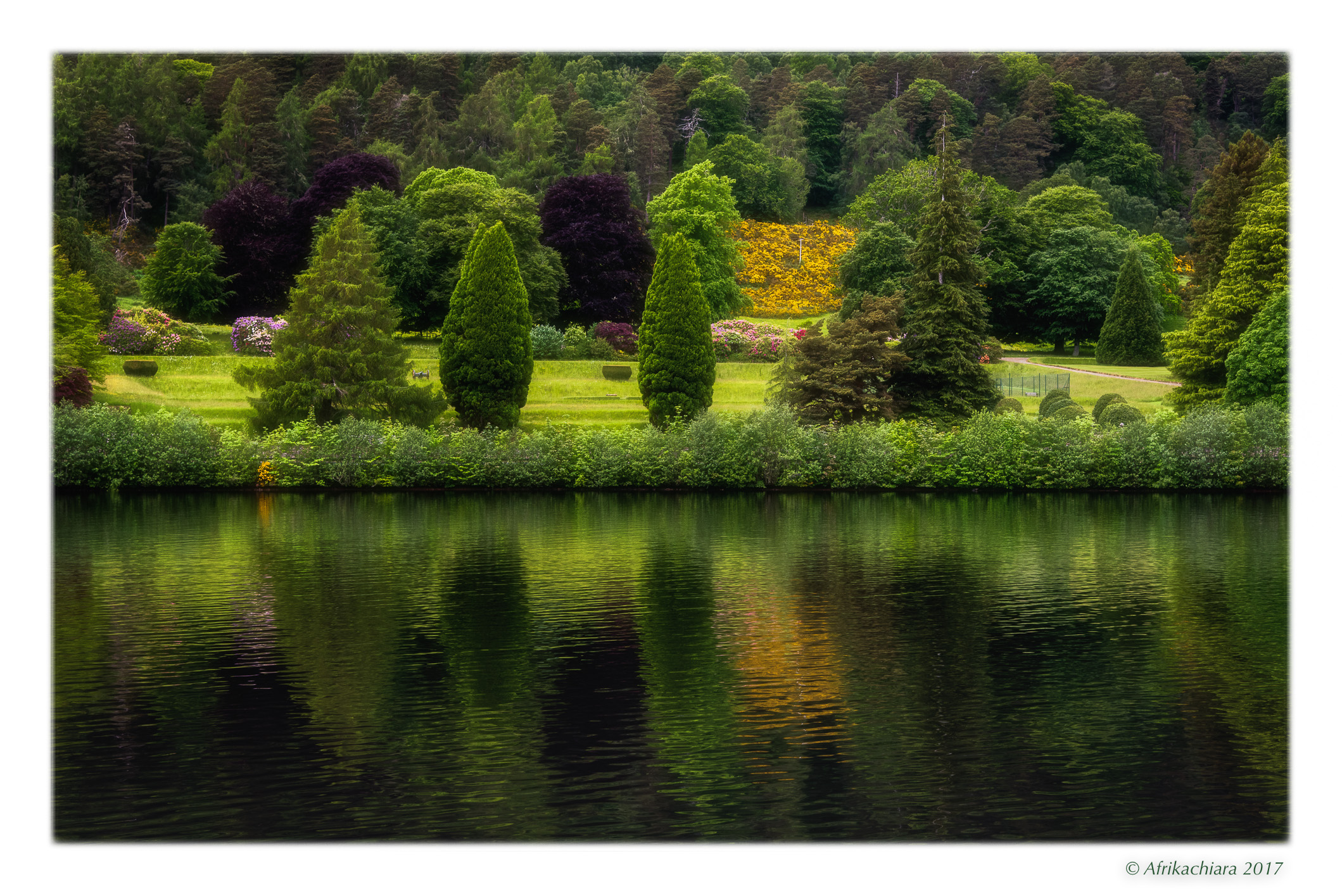 Dreaming of the paradise ...