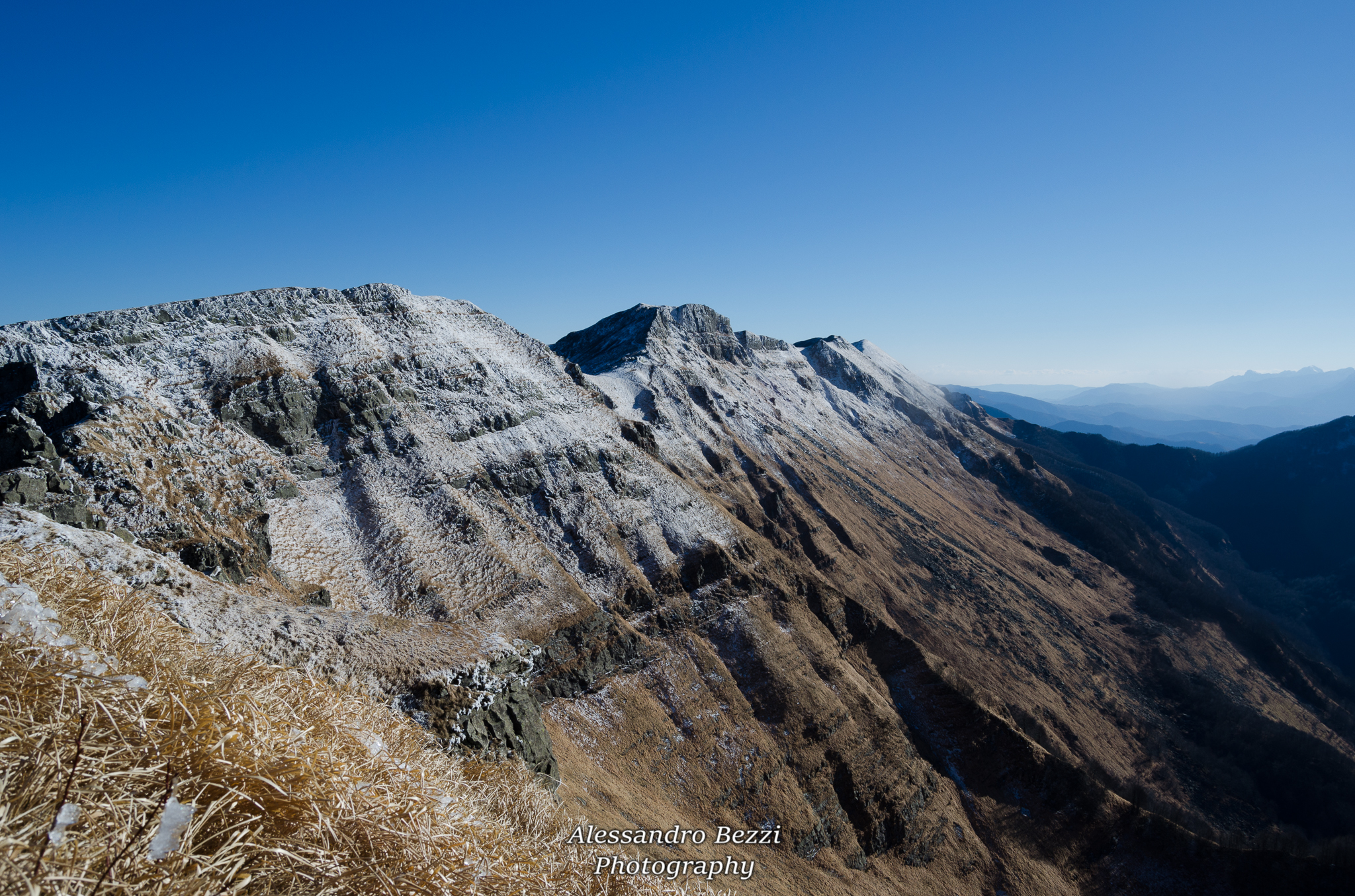 Ridge Tosco - Emiliano