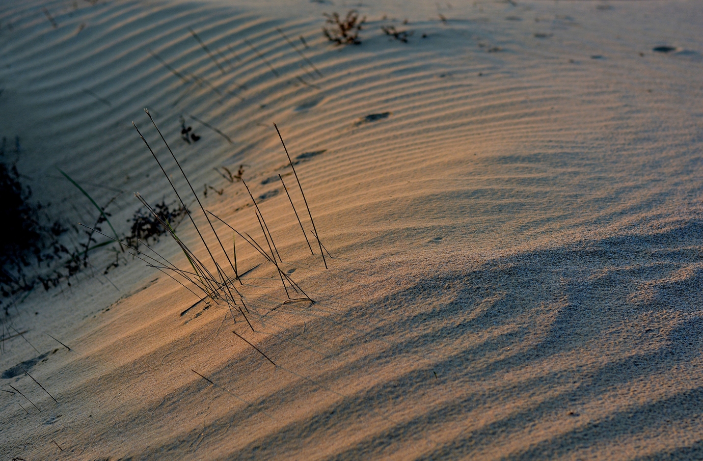 La Carezza del Vento