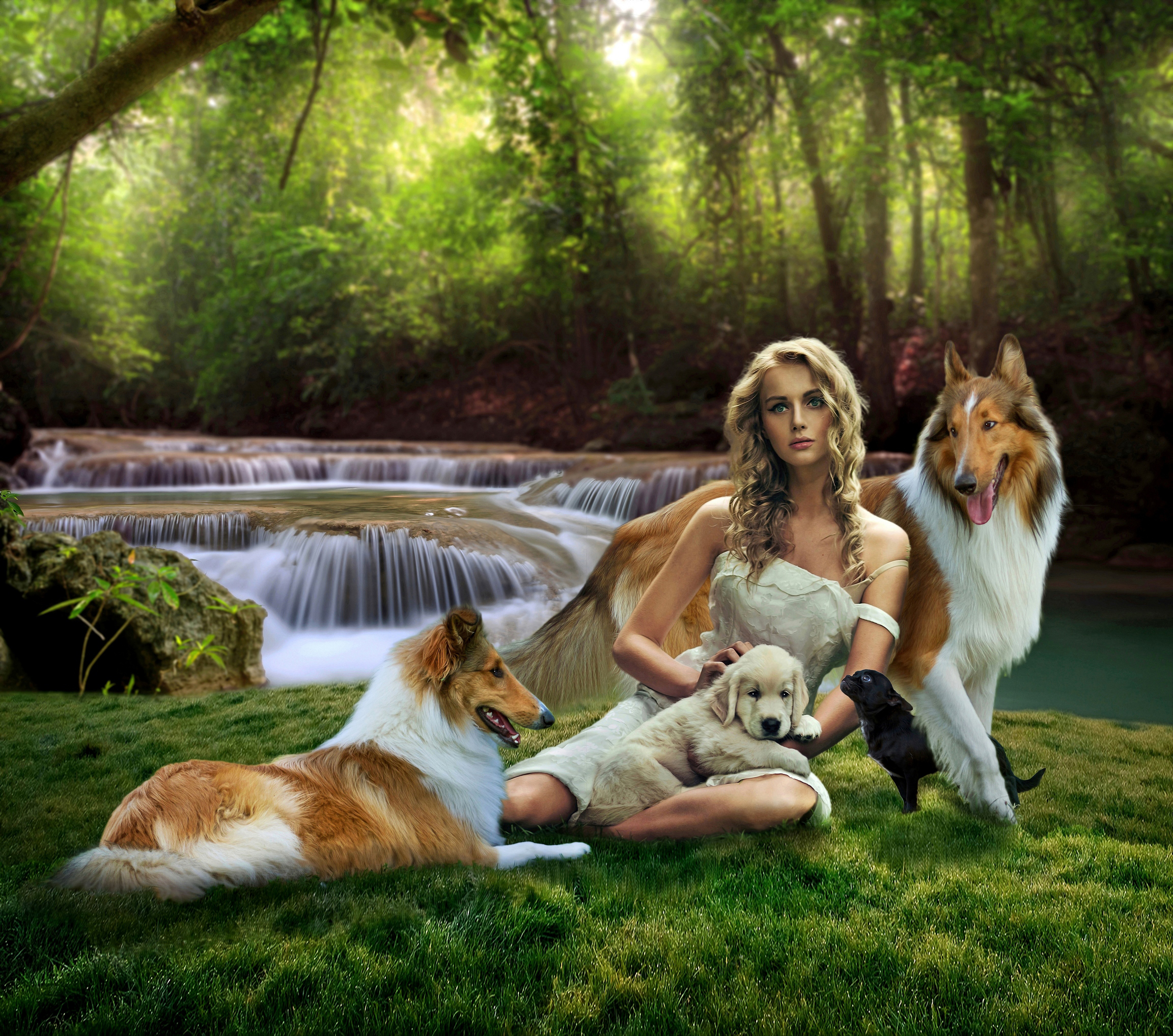 In the world of Alice 1