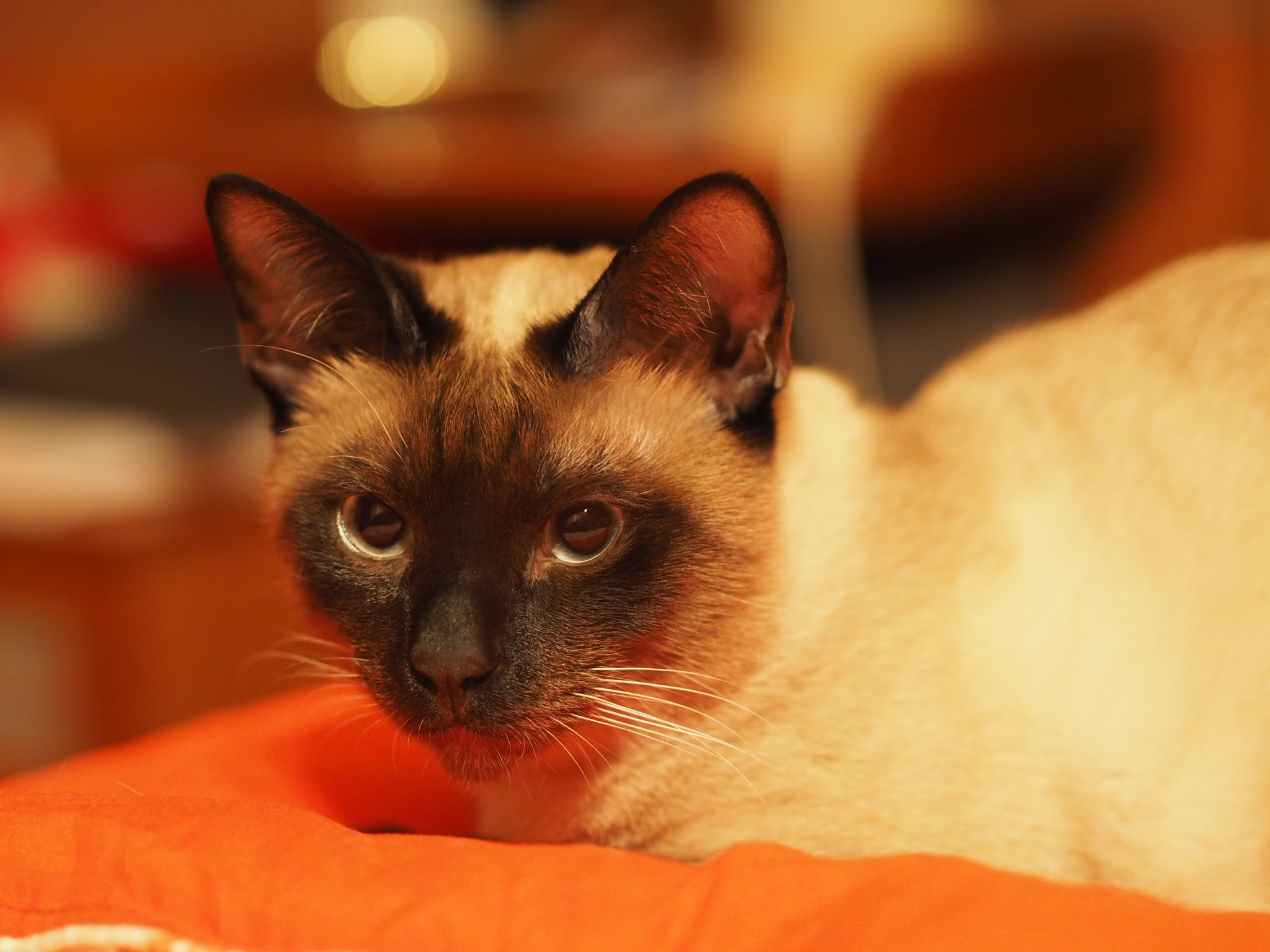 The first photo with 45mm