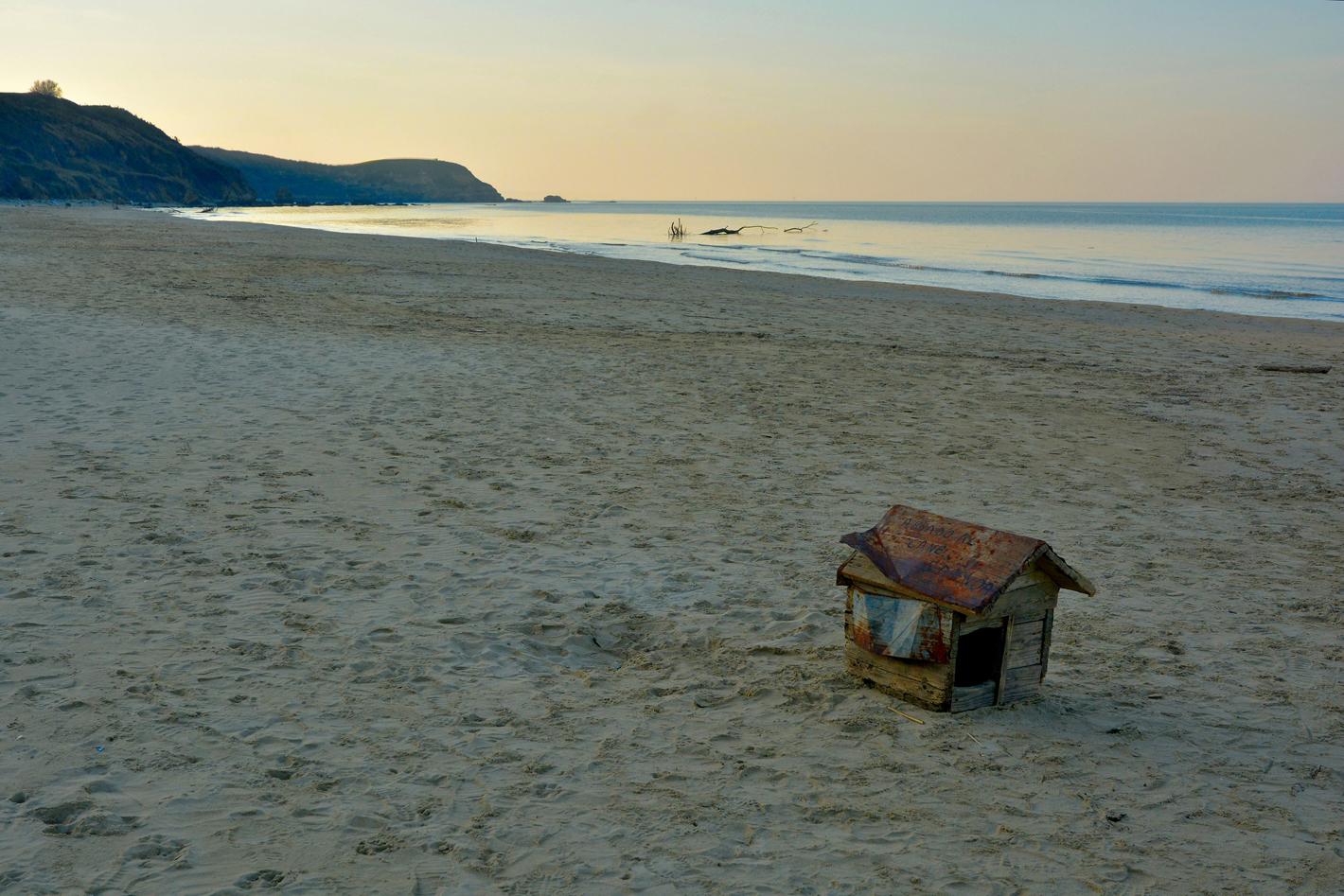 l' Improbabile Trasloco di Fido