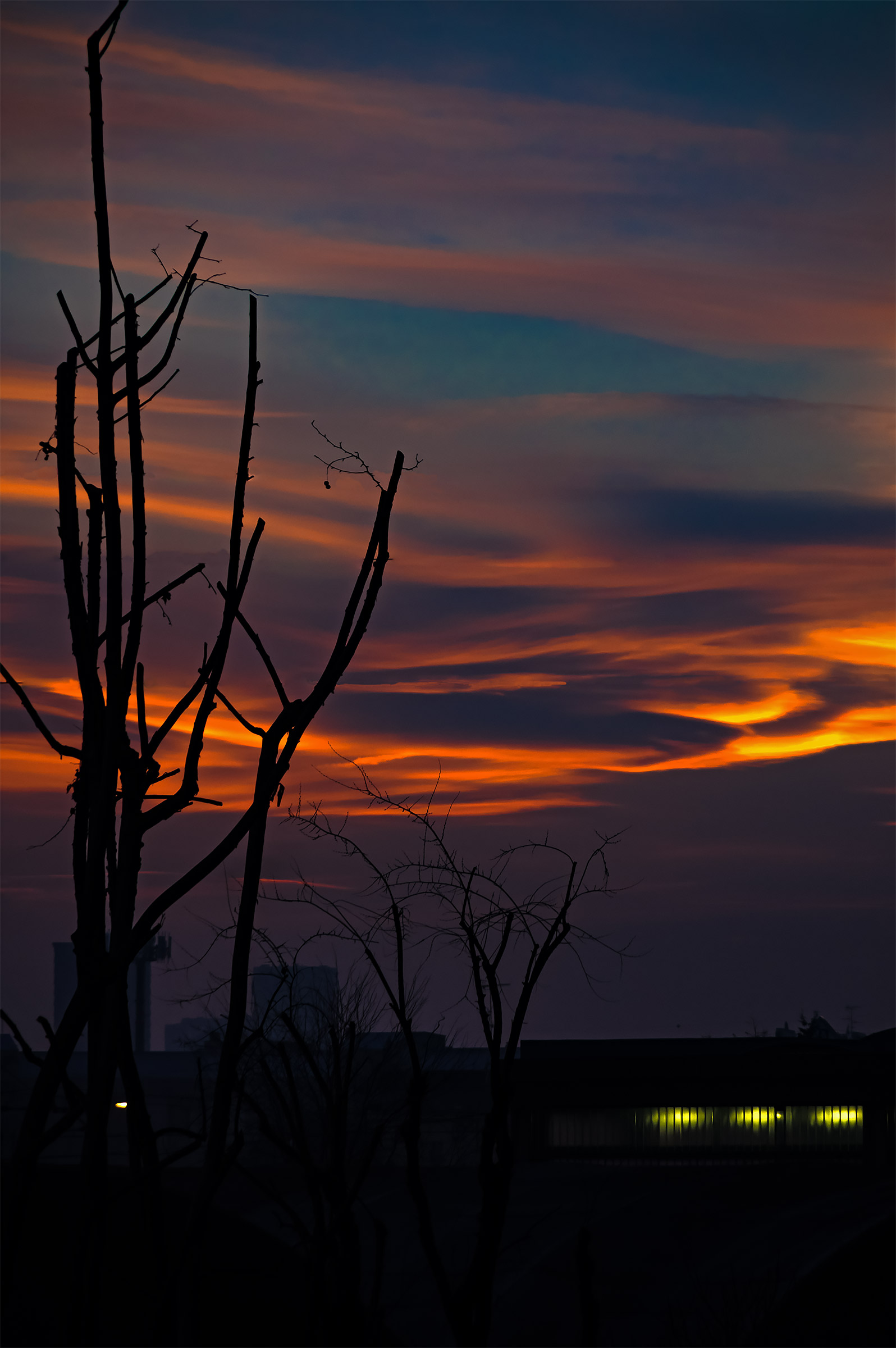 The colors of the sunset of the day of pruning