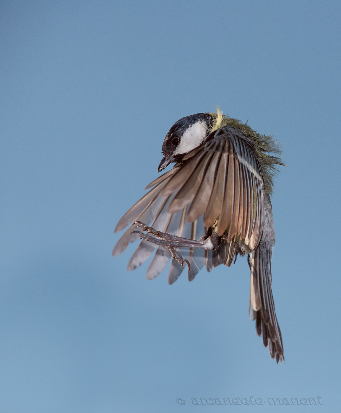 Anatomia di un decollo