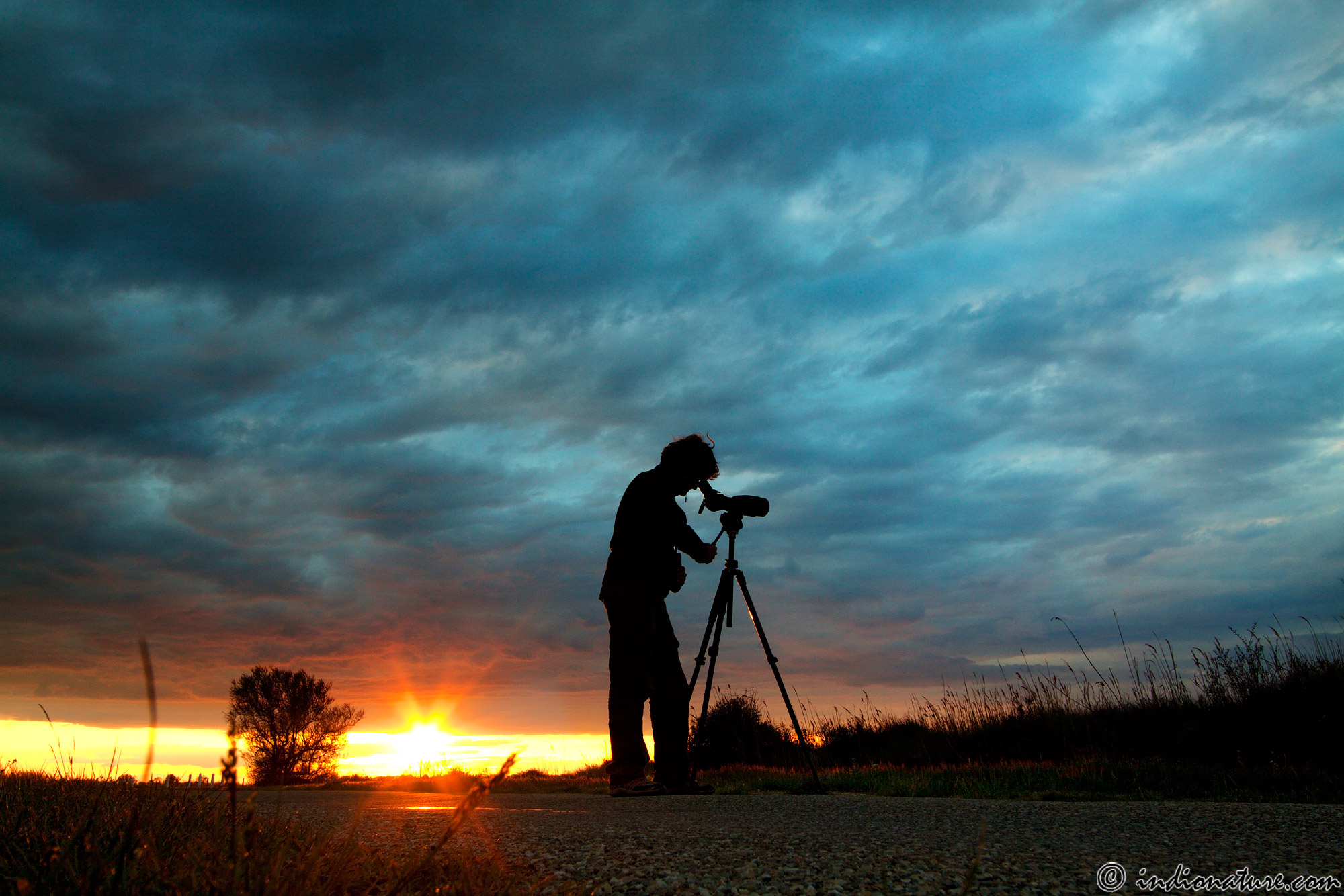 Cercando le pernici di mare