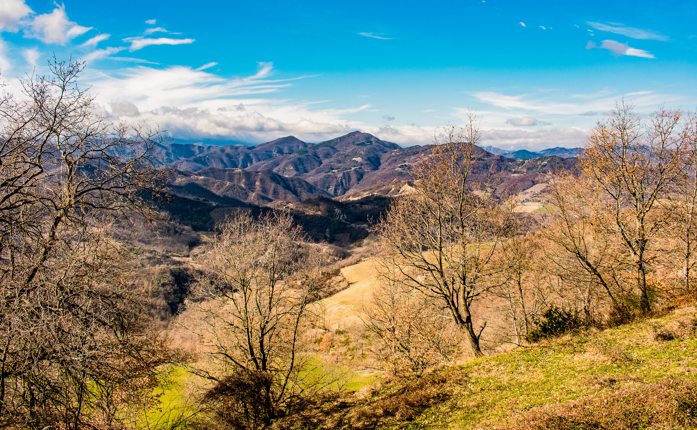 Tosco Romagnolo Apennines