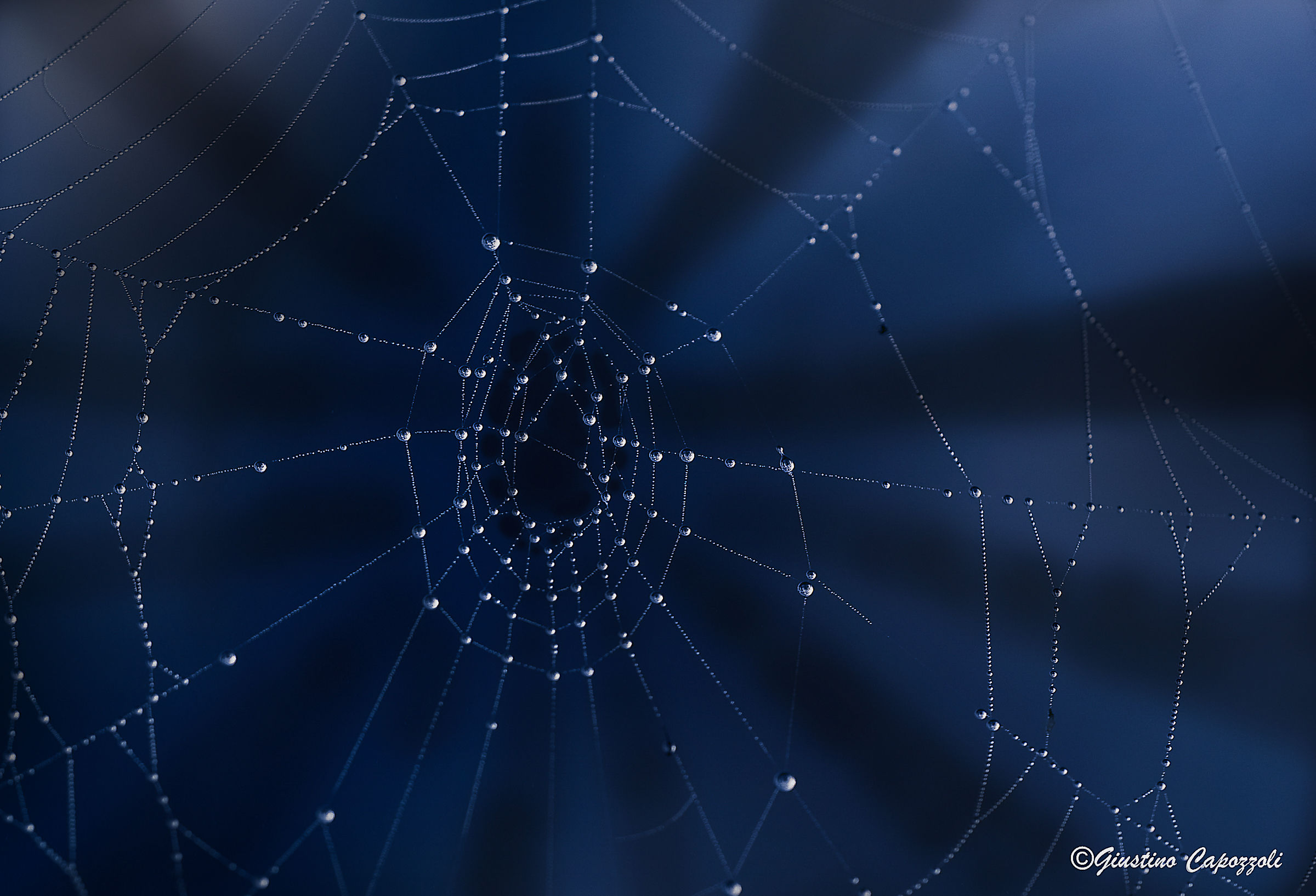 universo parallelo il buco nero