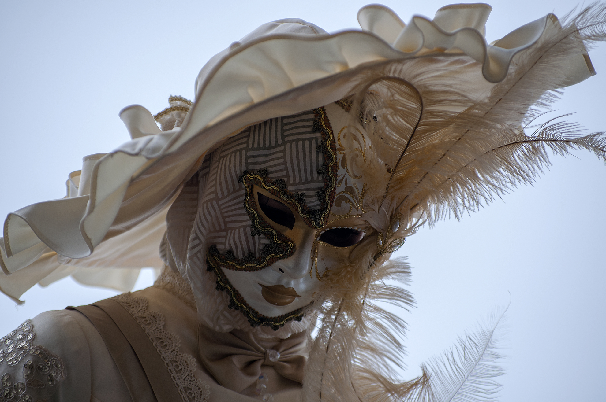 Carnival Venice .... 1
