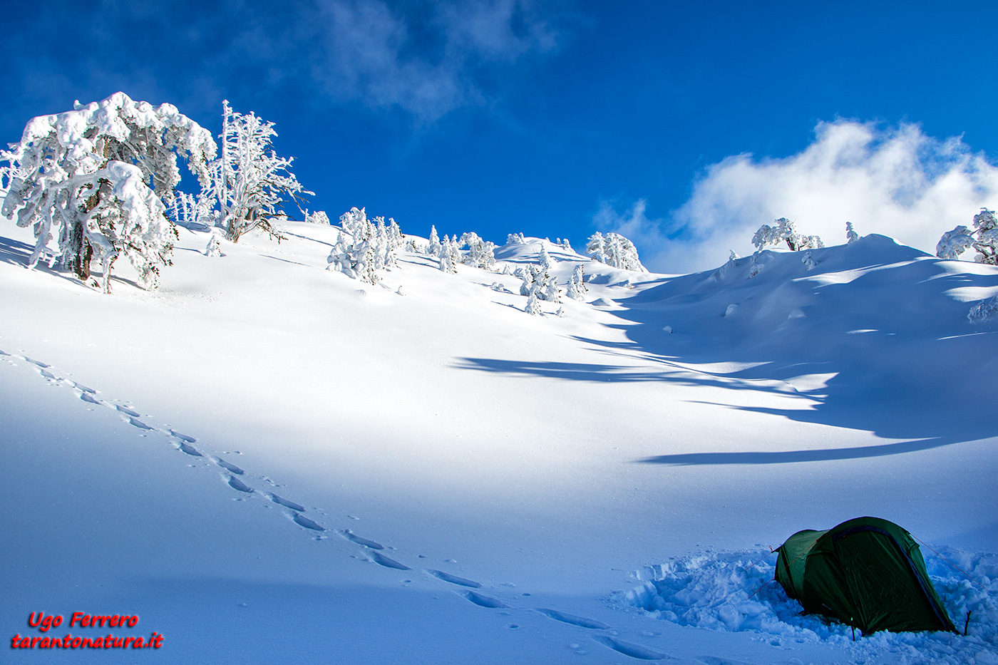 The tent and the snow!