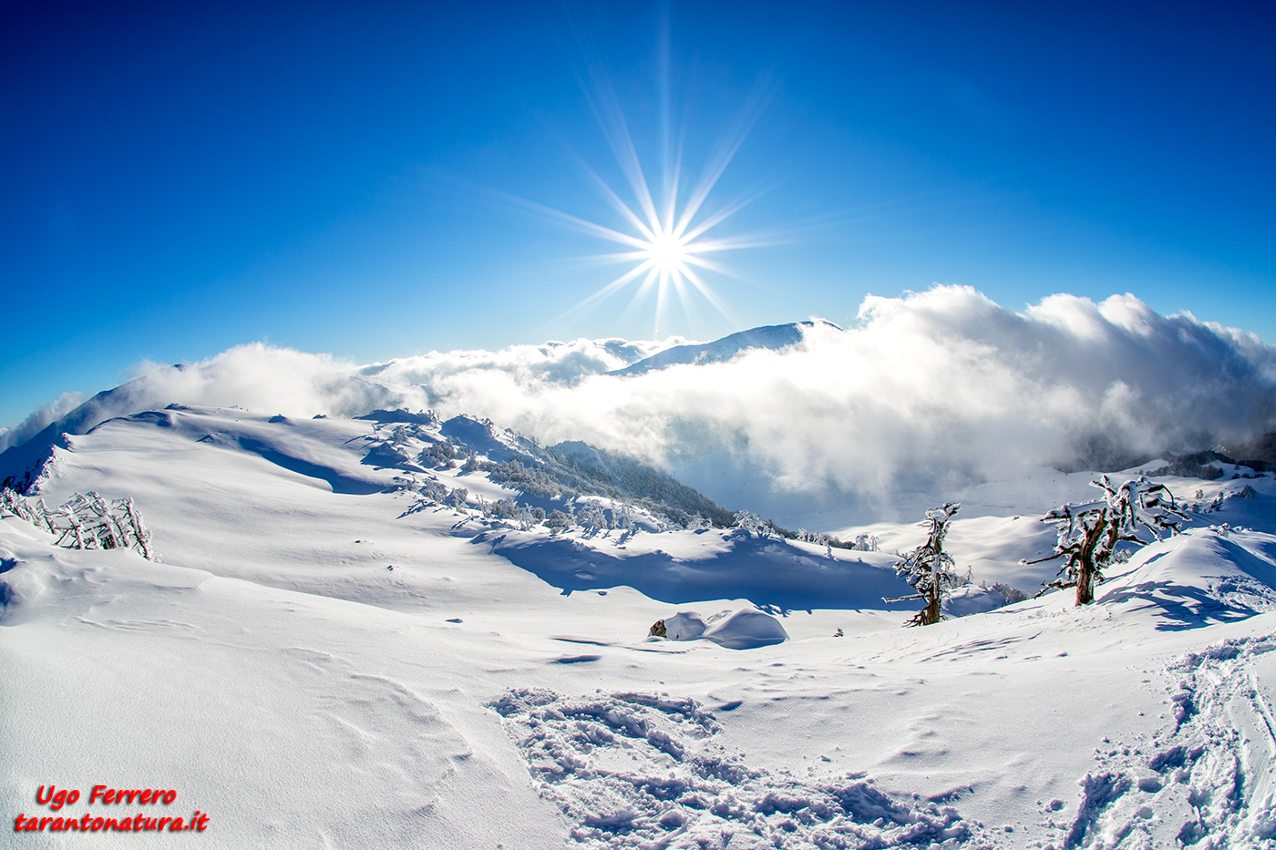Panorama da Serra Ciavole