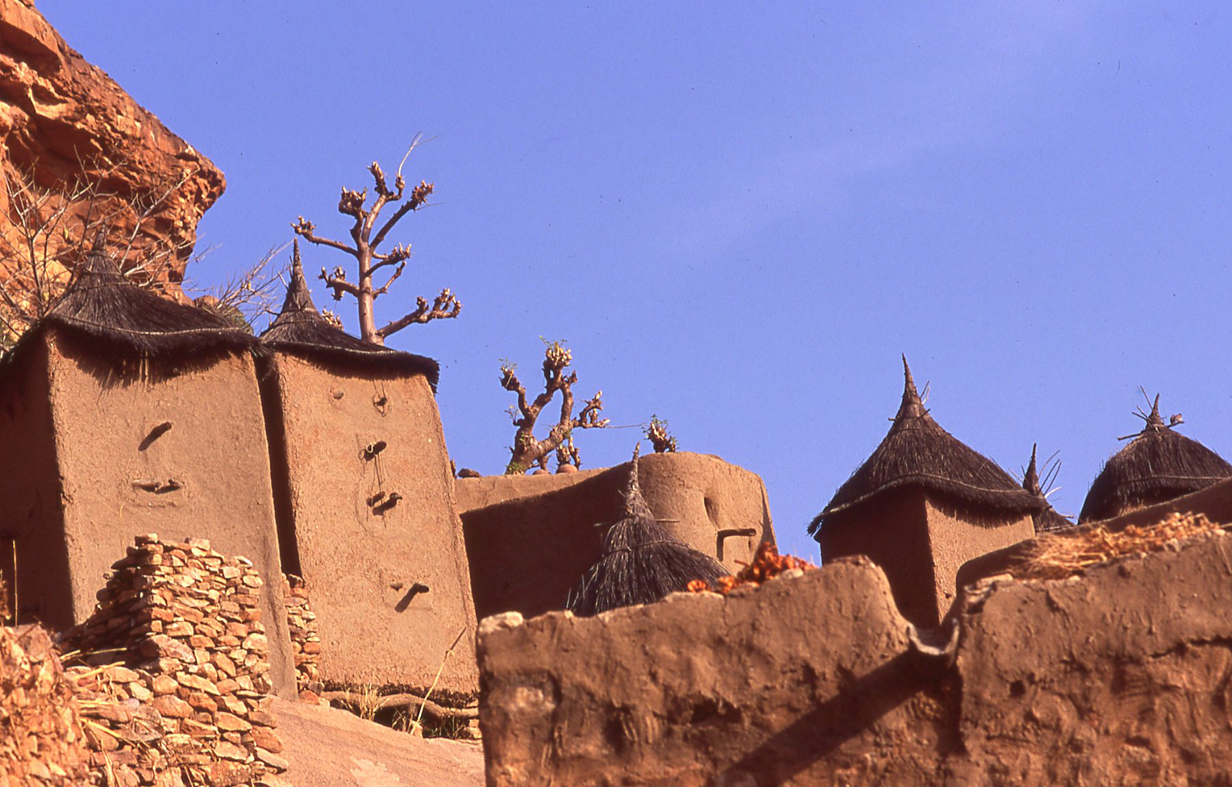 Village especially in Mali