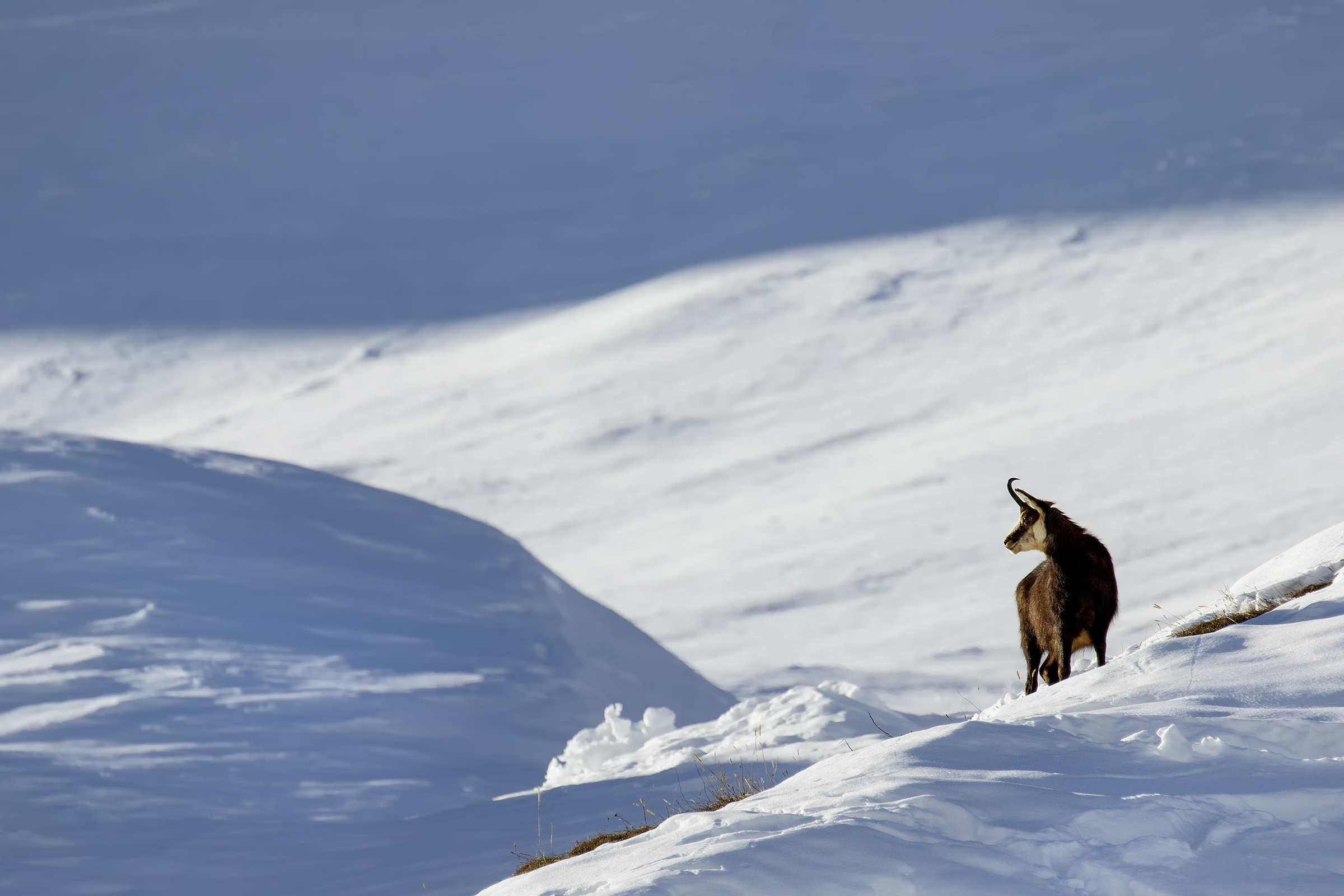 waves of light and shadow