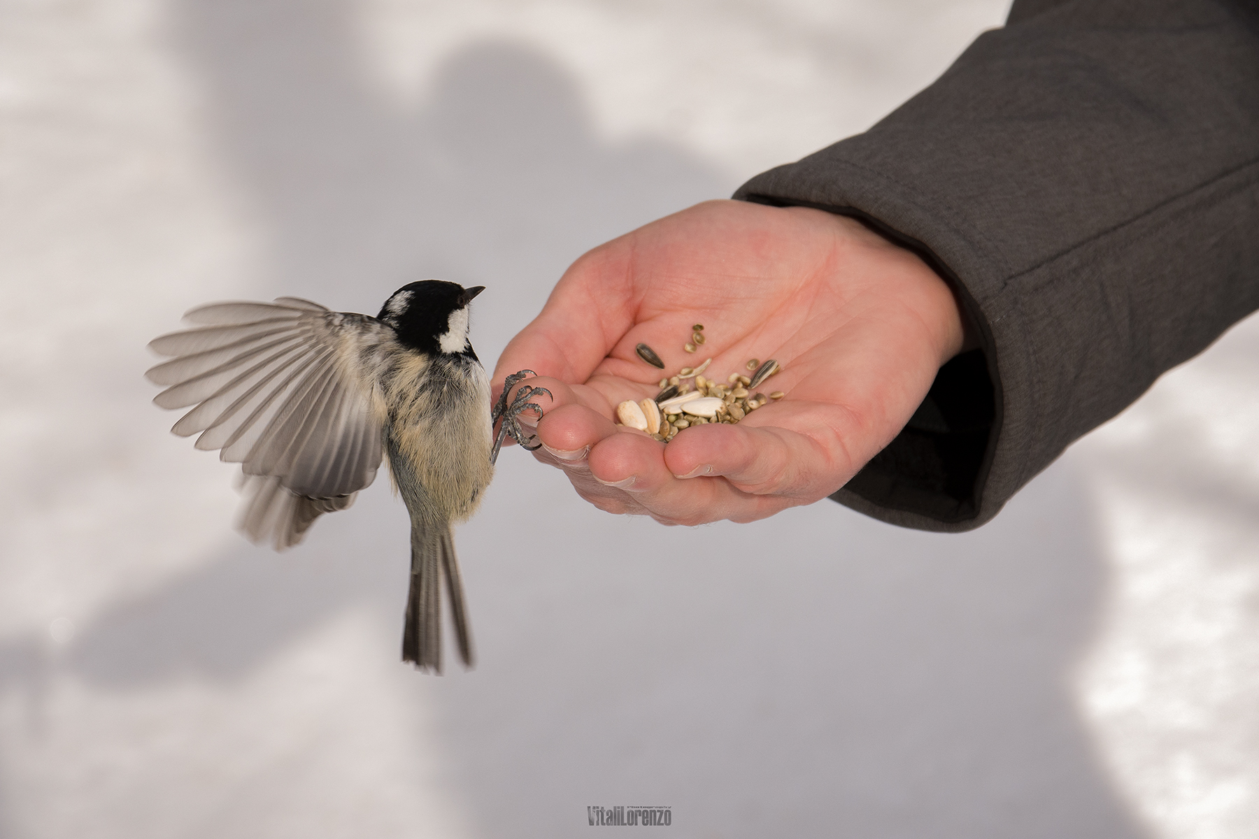 On the palm of the hand