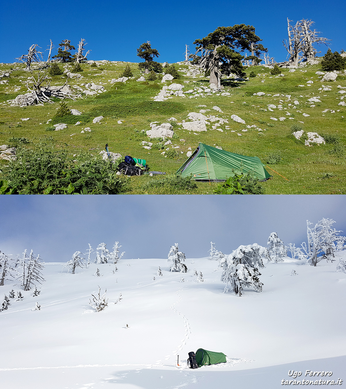 Tent double face ...!