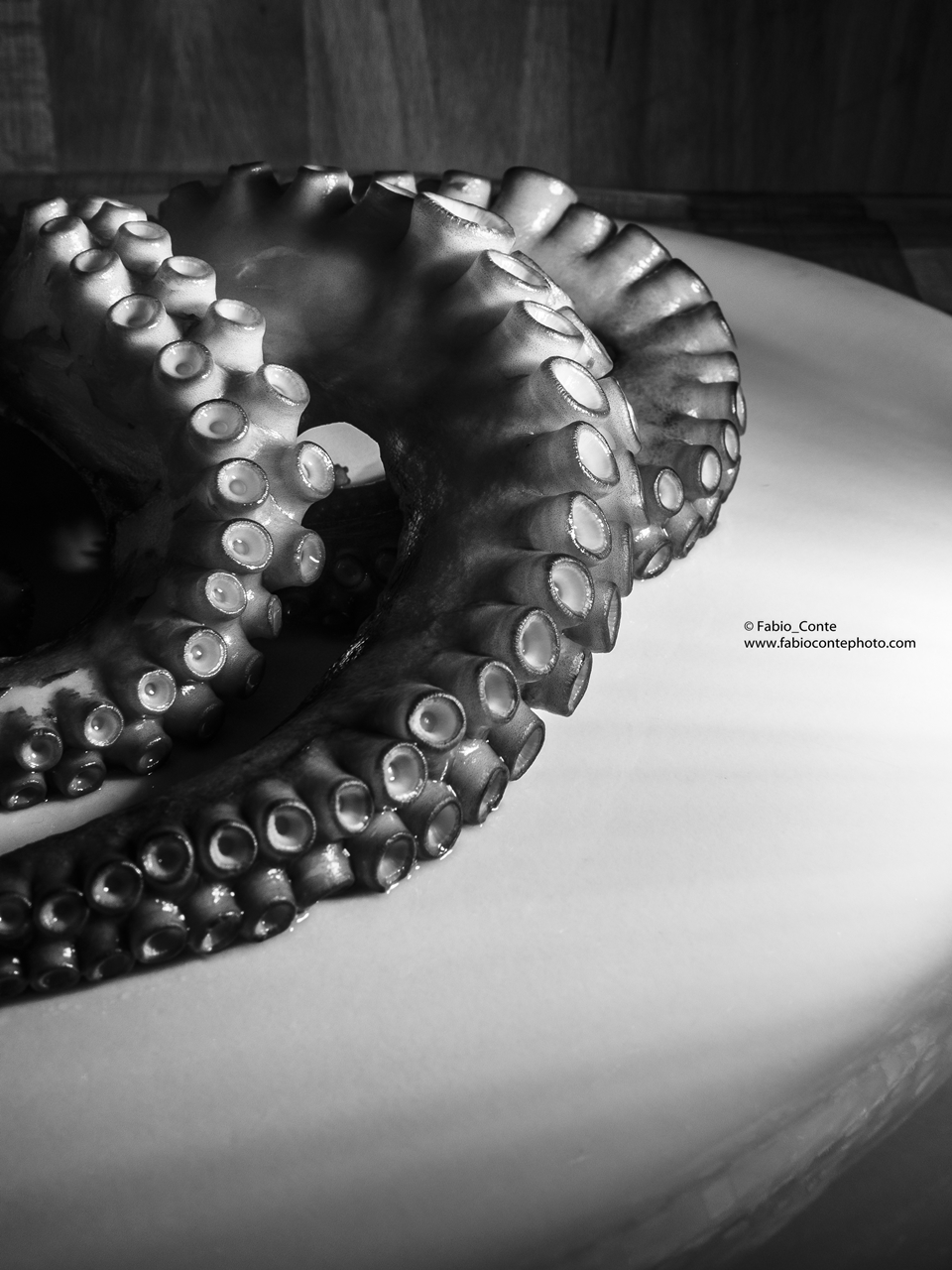 ... Octopus (octopus ...)