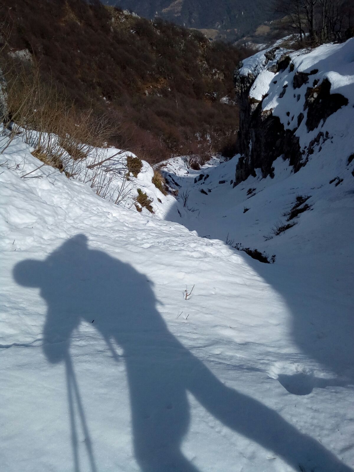 skiing in the shoulder and off