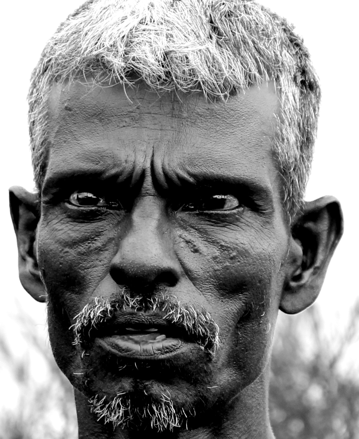 Uno sguardo ''rassicurante''