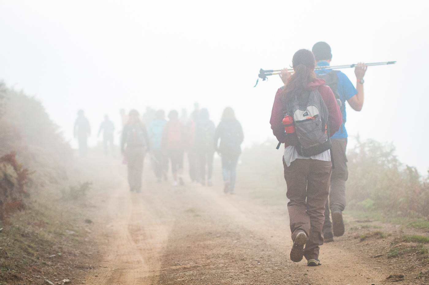 Nebbia sulle Rocche del crasto - Nebrodi