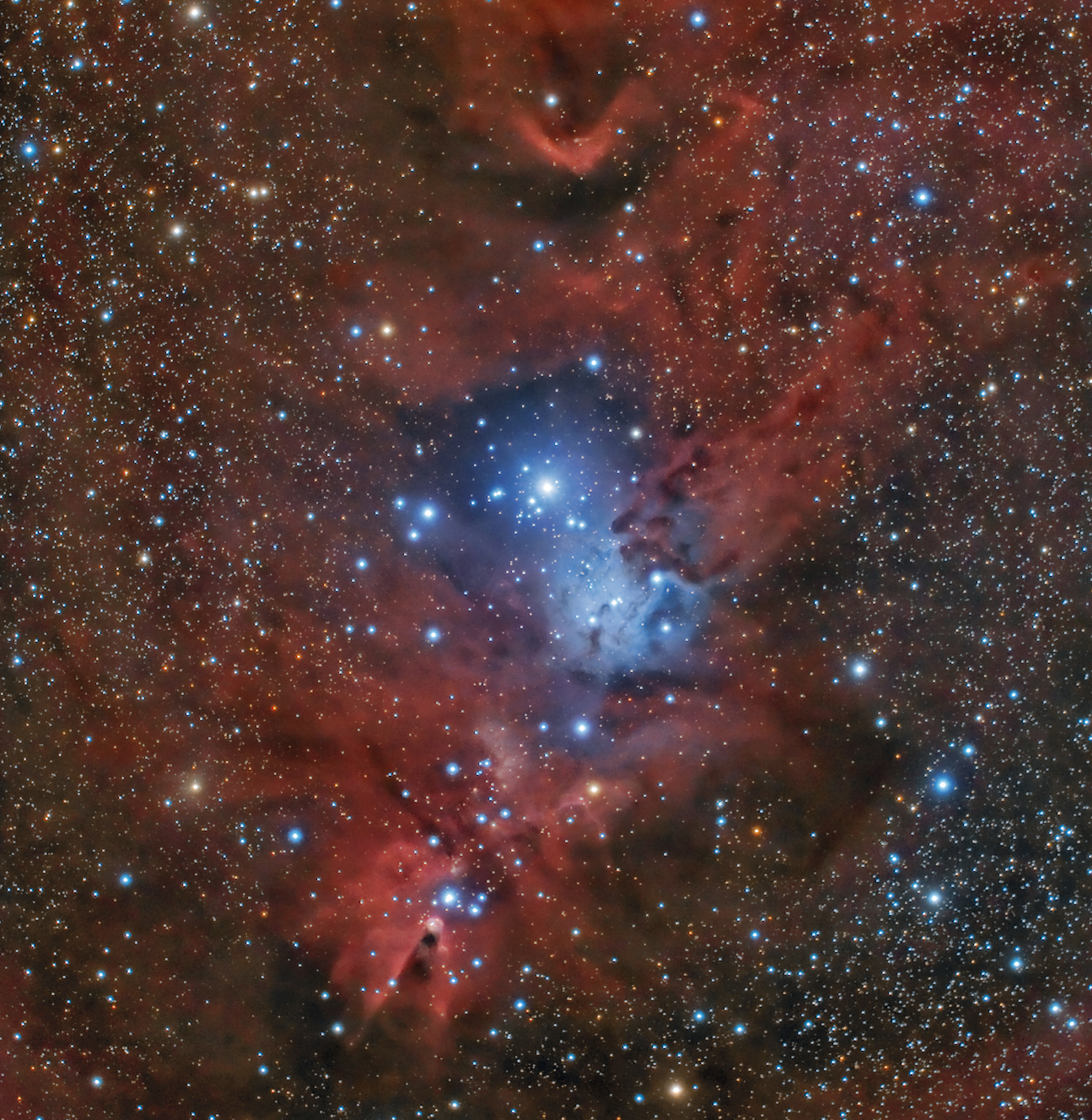 NGC 2264 the Cone Nebula