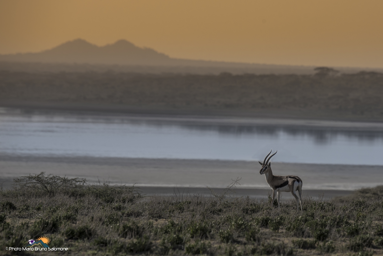 Sunset on the lake Ndutu