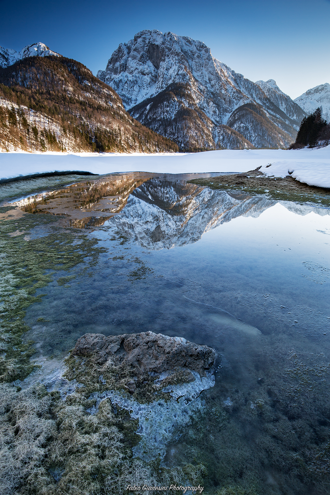 Beautiful reflection