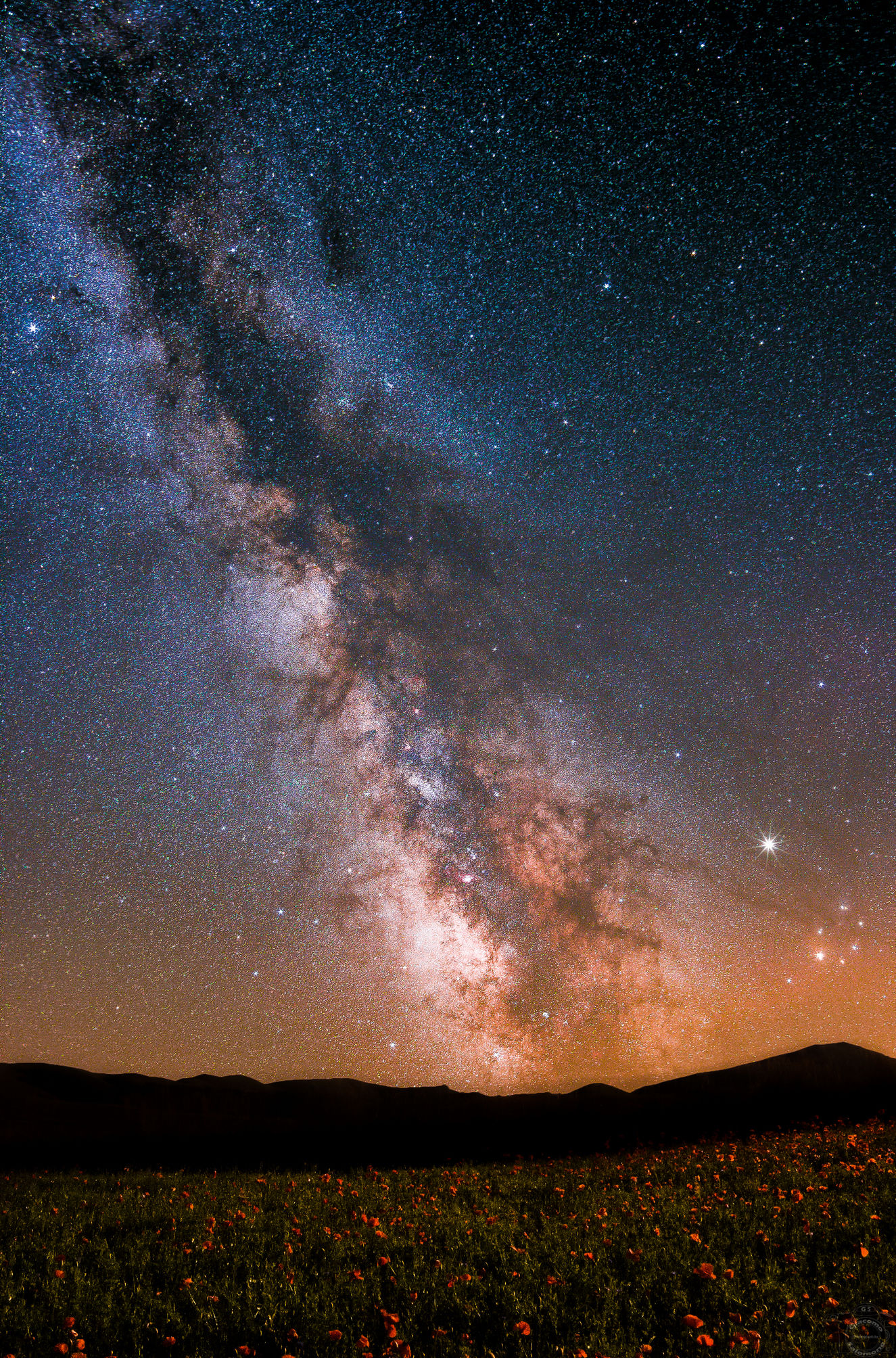 The Milky Way above the flowering of Castelluccio