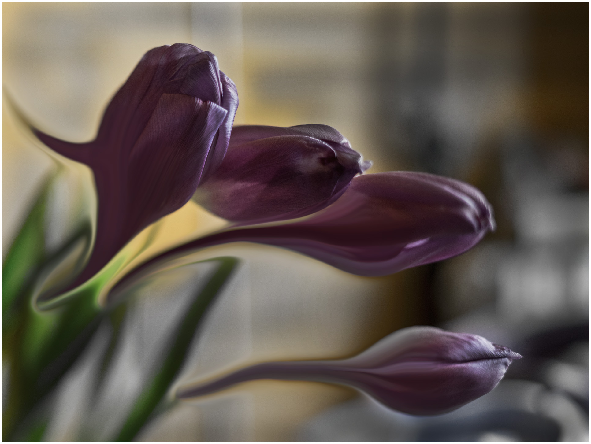 PP copyright game SabbiaVincent