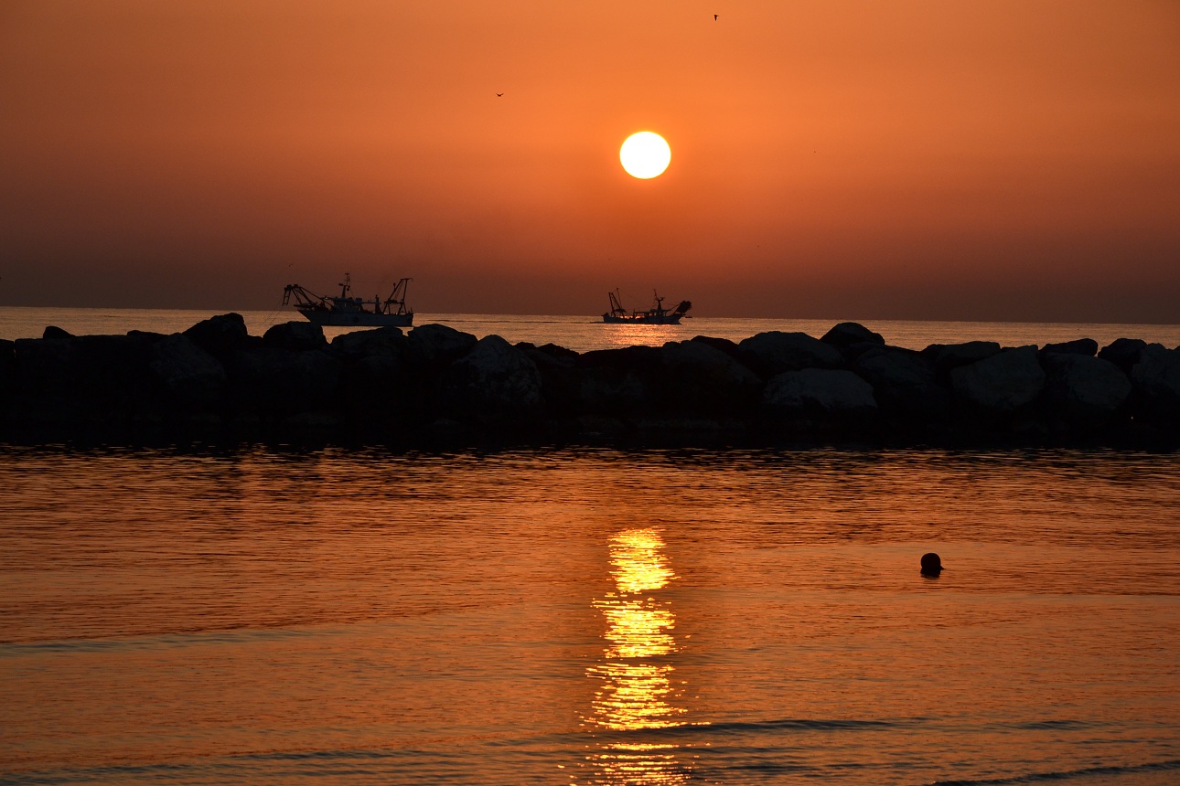 sunrise tower pedrera