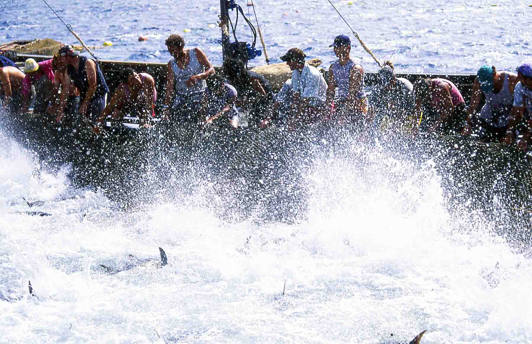 Slaughter of tuna in Favignana