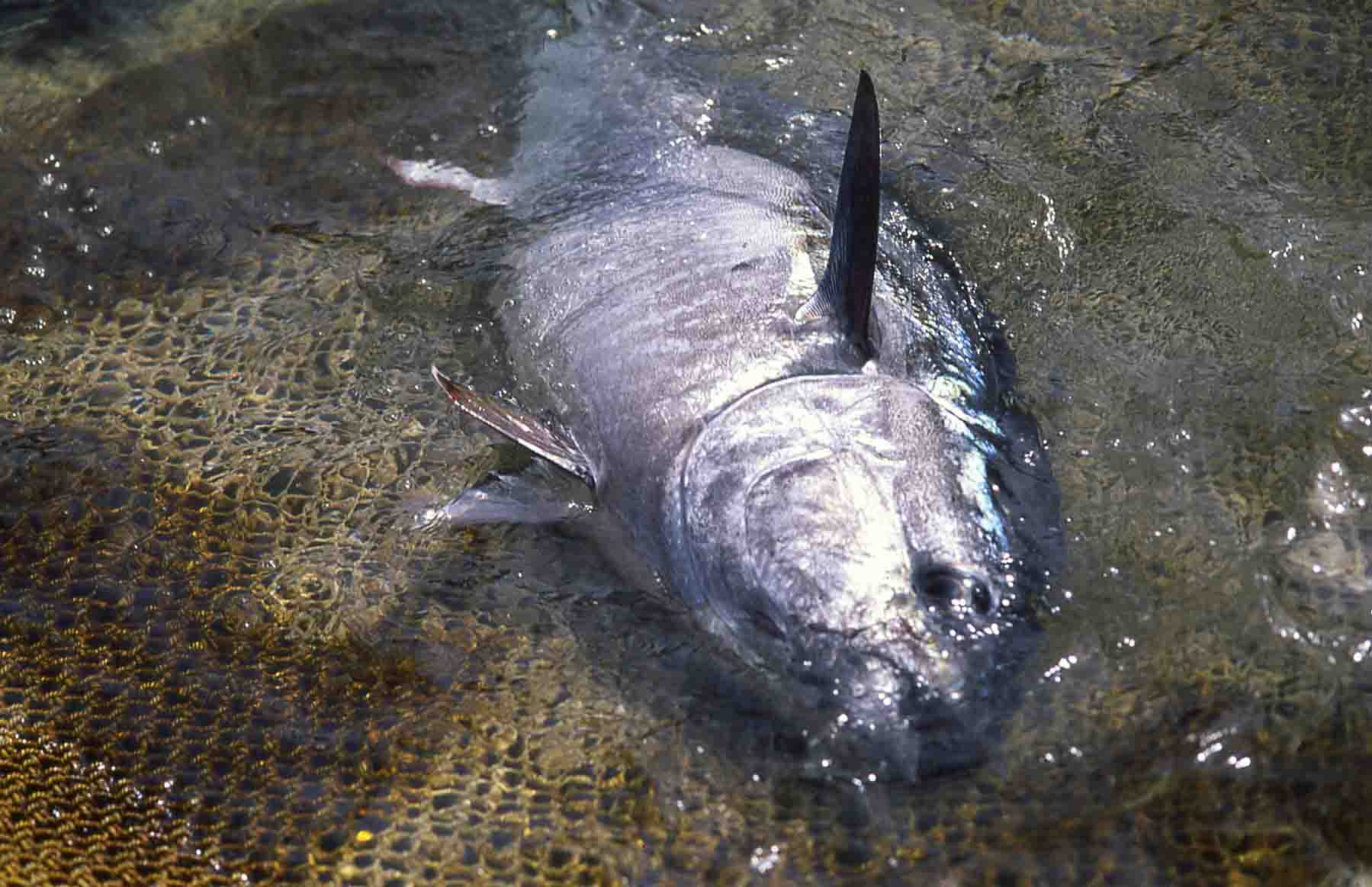 One of the victims of the massacre