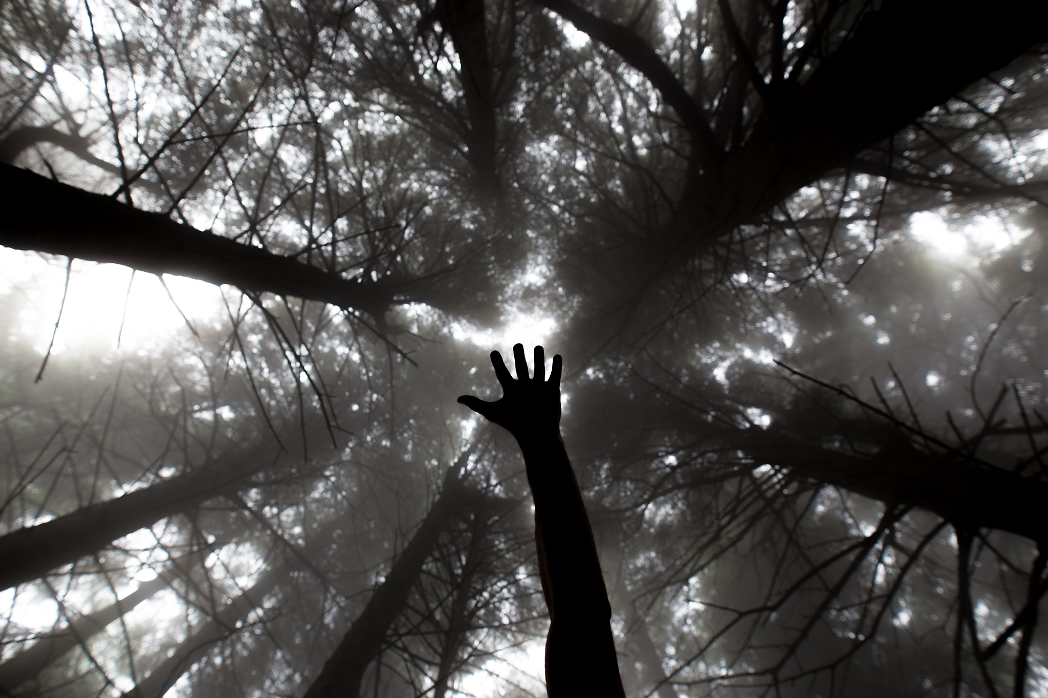 Siamo parte di essa..